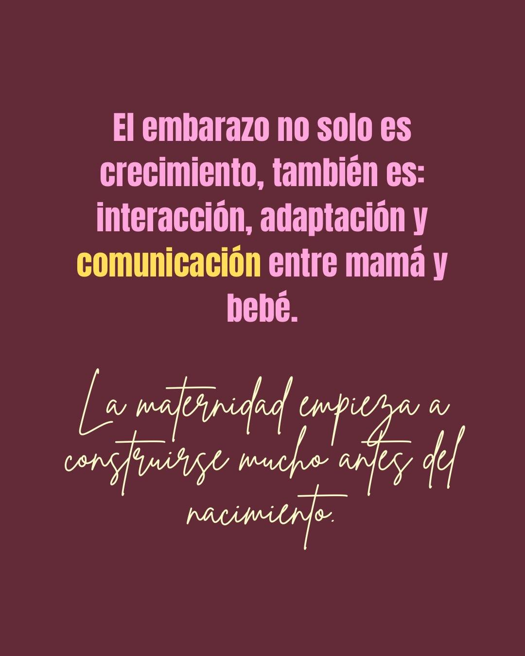 Carrusel ilustrado de Todo Bajo Contracción: La conexión con tu bebé antes de nacer