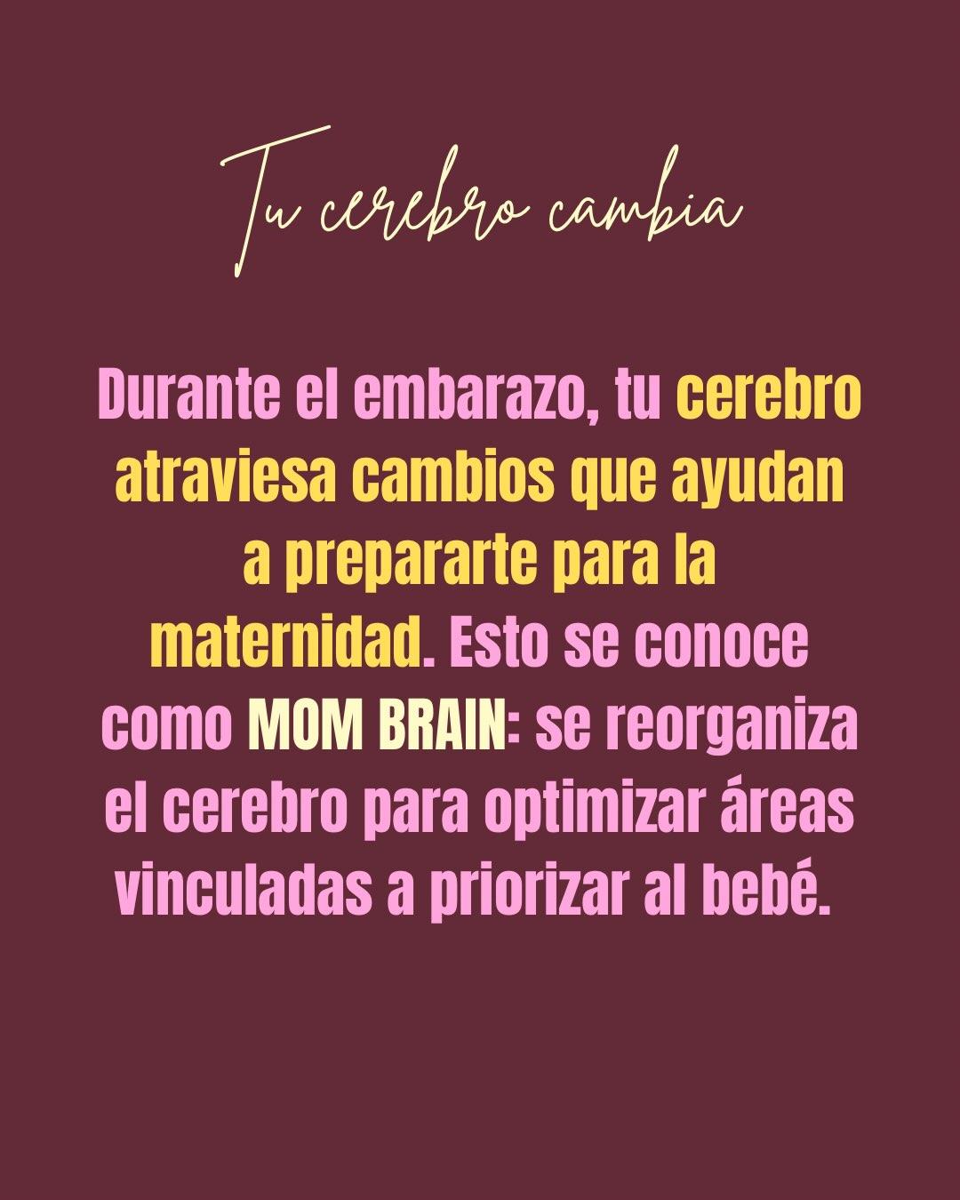 Carrusel ilustrado de Todo Bajo Contracción: La conexión con tu bebé antes de nacer