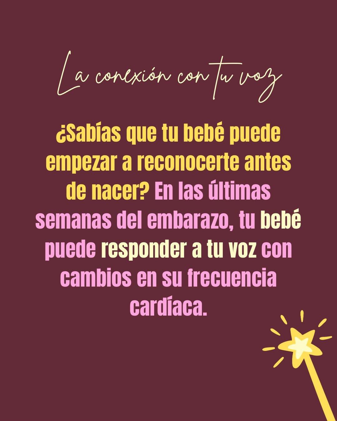 Carrusel ilustrado de Todo Bajo Contracción: La conexión con tu bebé antes de nacer
