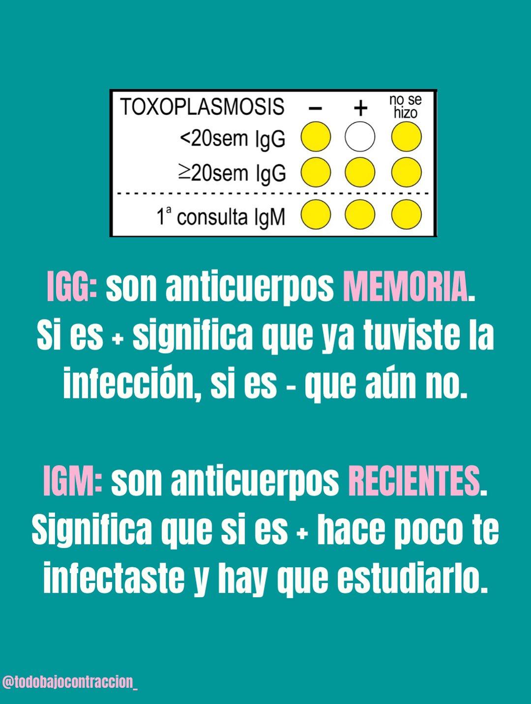 Carrusel ilustrado de Todo Bajo Contracción: Toxoplasmosis en el embarazo