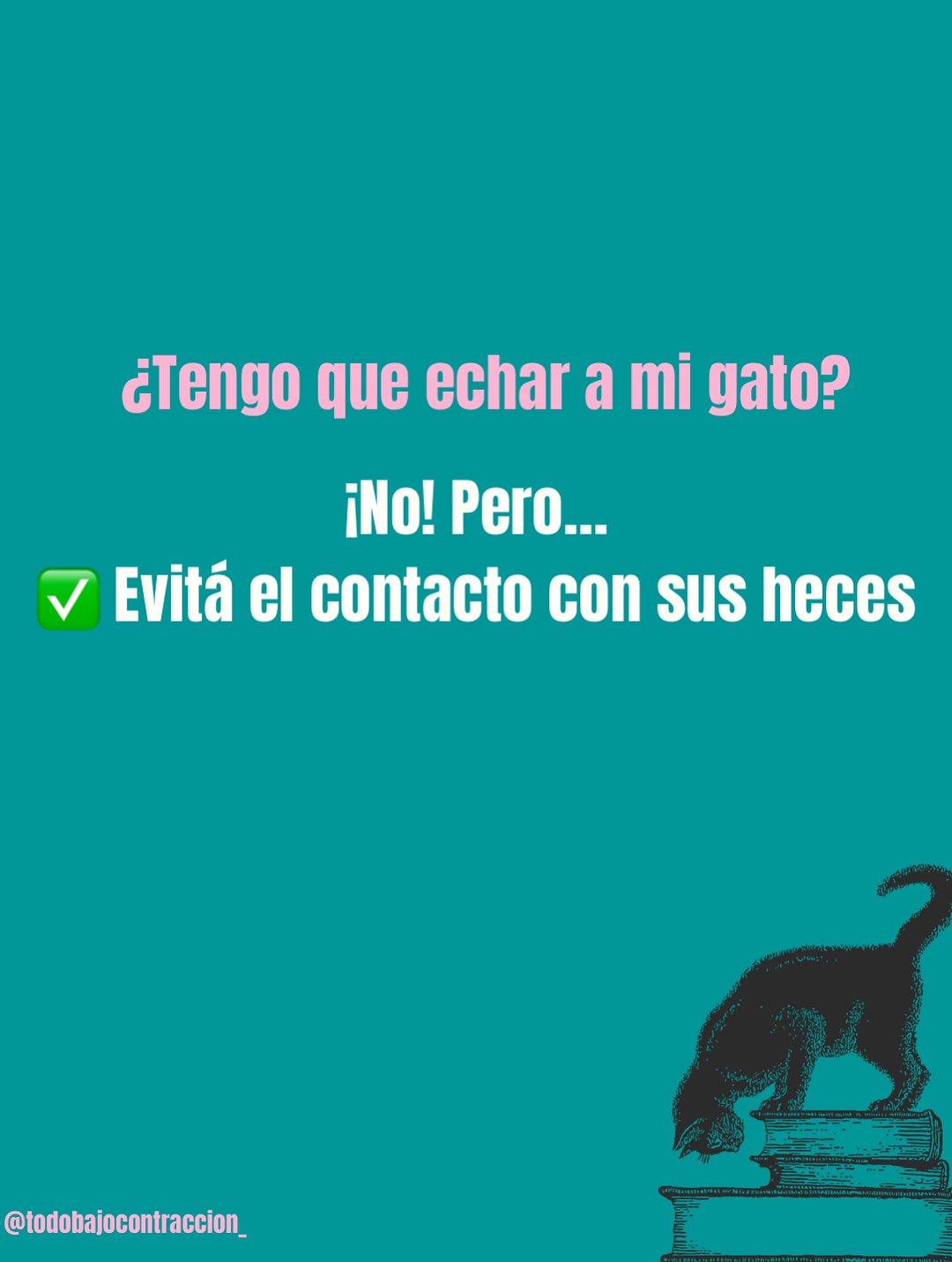 Carrusel ilustrado de Todo Bajo Contracción: Toxoplasmosis en el embarazo