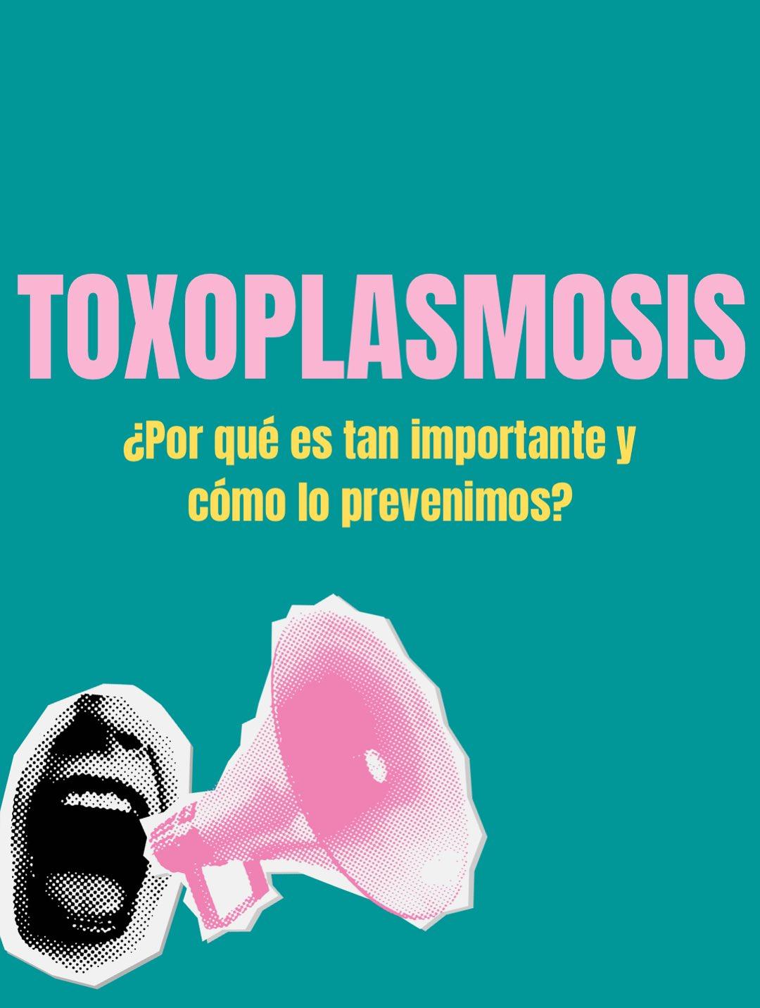Carrusel ilustrado de Todo Bajo Contracción: Toxoplasmosis en el embarazo