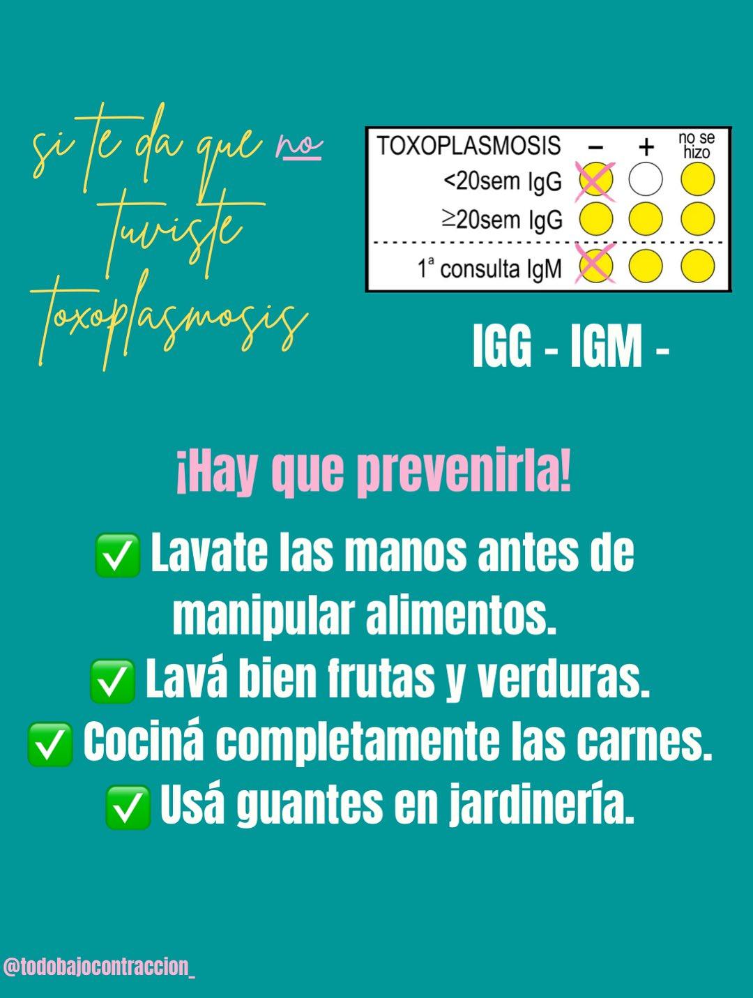 Carrusel ilustrado de Todo Bajo Contracción: Toxoplasmosis en el embarazo