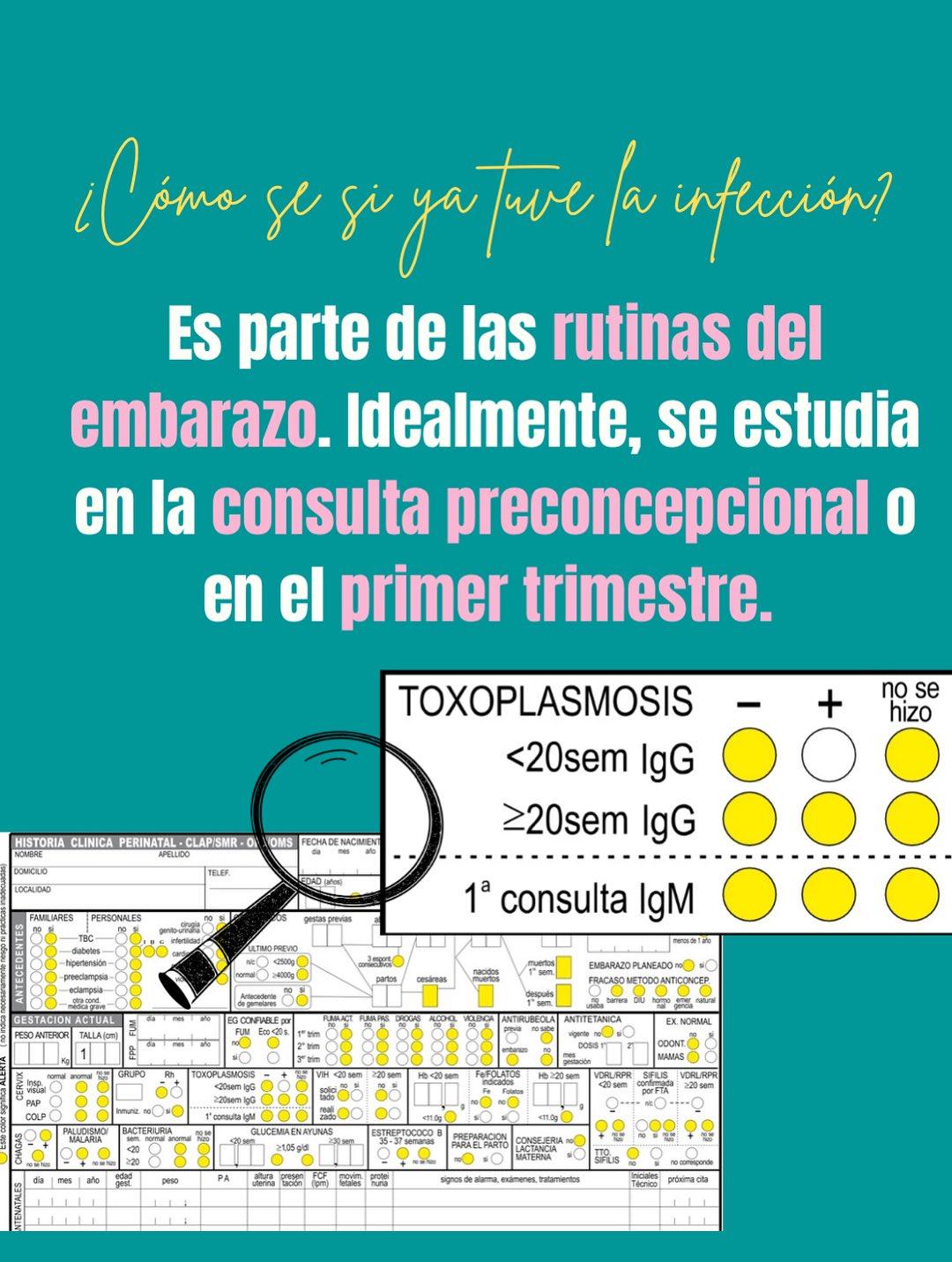Carrusel ilustrado de Todo Bajo Contracción: Toxoplasmosis en el embarazo