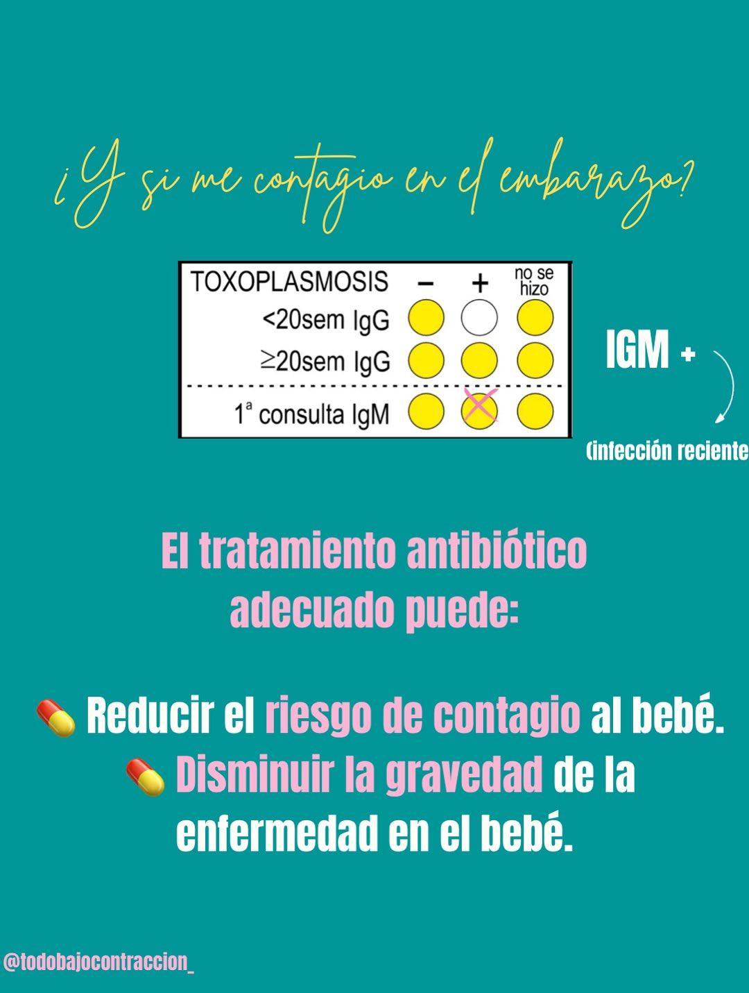 Carrusel ilustrado de Todo Bajo Contracción: Toxoplasmosis en el embarazo
