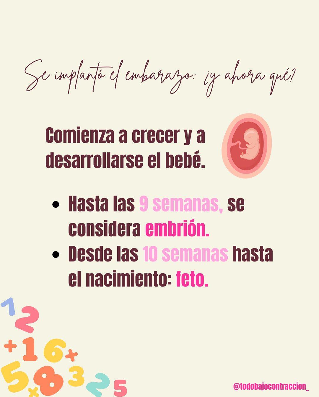 Carrusel ilustrado de Todo Bajo Contracción: Semanas, meses y trimestres de embarazo