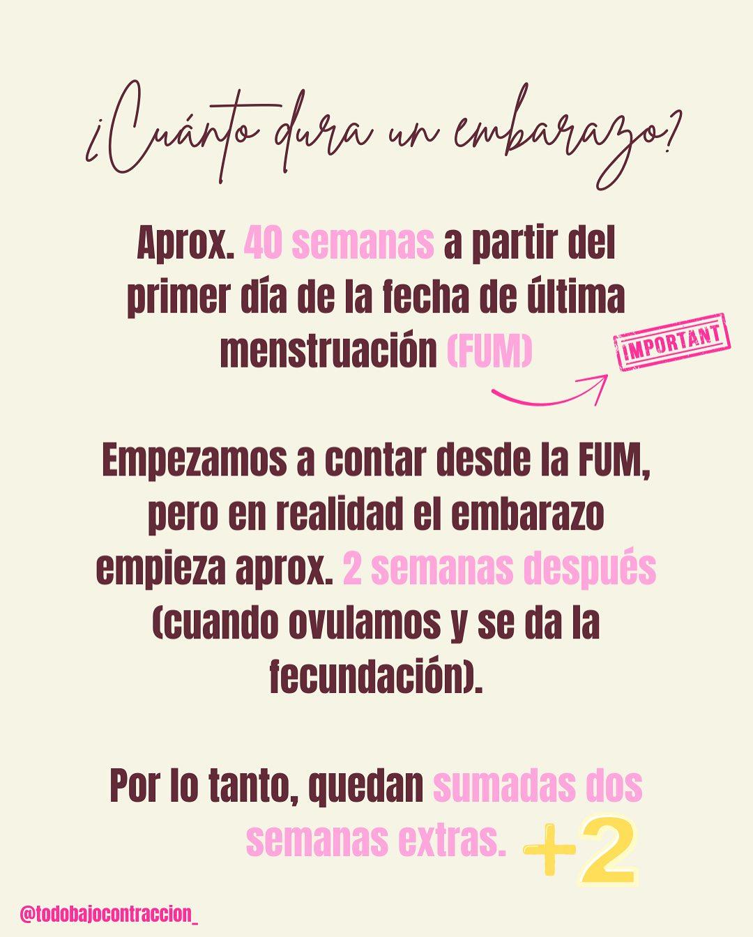 Carrusel ilustrado de Todo Bajo Contracción: Semanas, meses y trimestres de embarazo