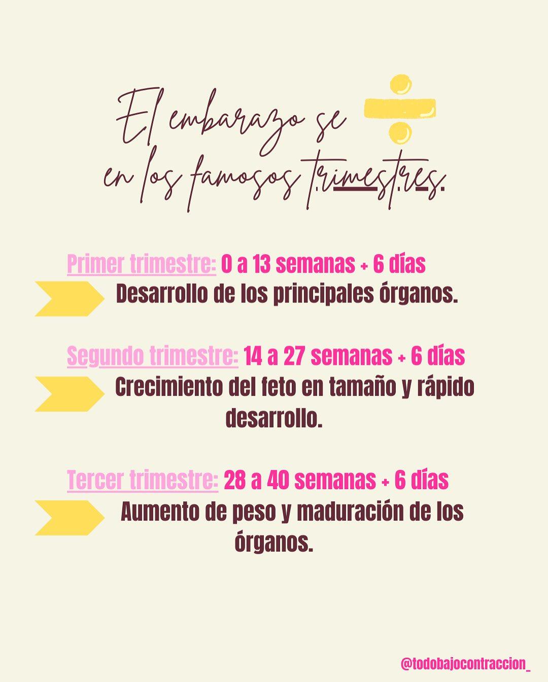 Carrusel ilustrado de Todo Bajo Contracción: Semanas, meses y trimestres de embarazo