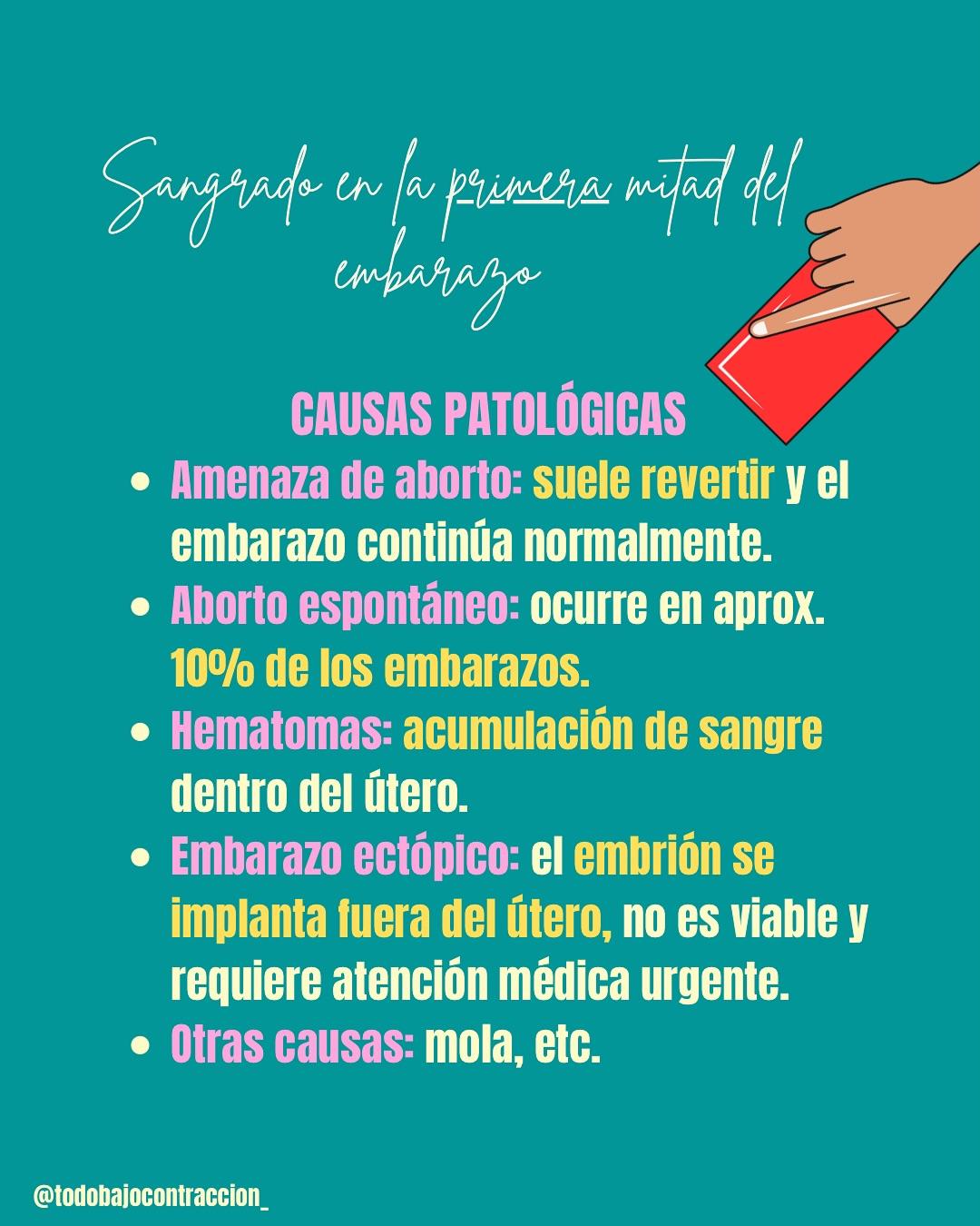 Carrusel ilustrado de Todo Bajo Contracción: Sangrado en el embarazo: causas