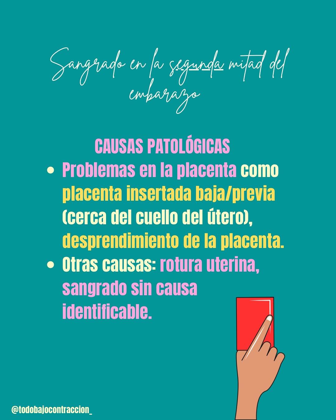 Carrusel ilustrado de Todo Bajo Contracción: Sangrado en el embarazo: causas