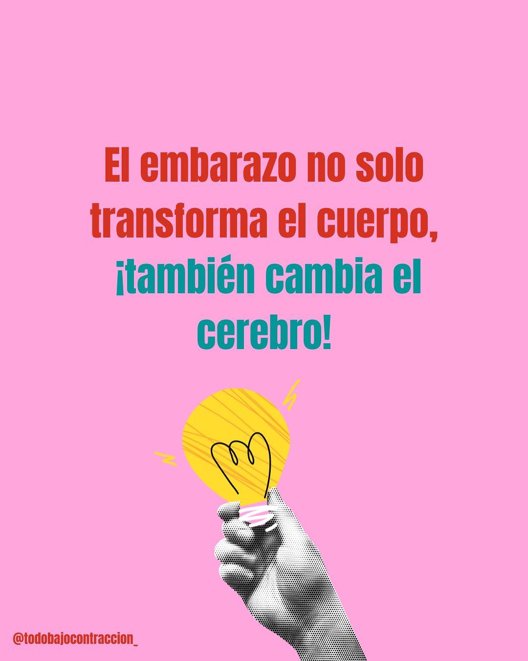 Carrusel ilustrado de Todo Bajo Contracción: Mom brain: la mente nublada en el embarazo