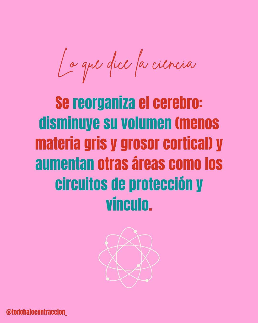 Carrusel ilustrado de Todo Bajo Contracción: Mom brain: la mente nublada en el embarazo