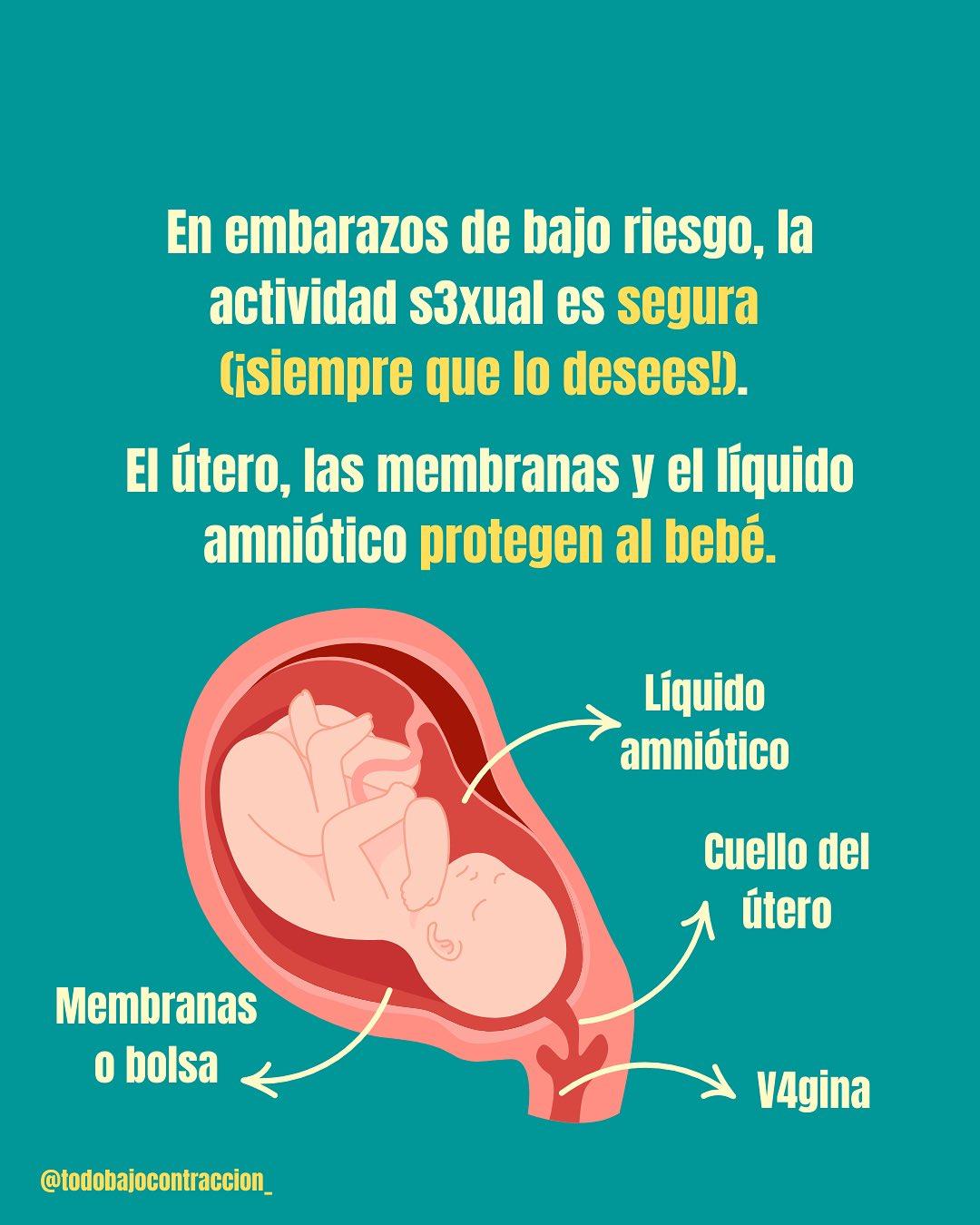 Carrusel ilustrado de Todo Bajo Contracción: Relaciones sexuales en el embarazo y el posparto