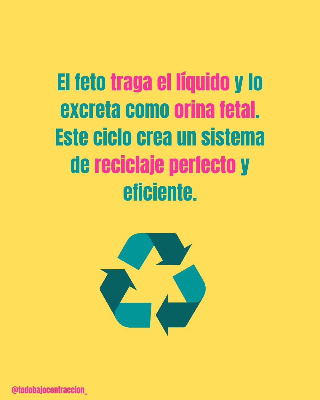 Carrusel ilustrado de Todo Bajo Contracción: Líquido amniótico: para qué sirve