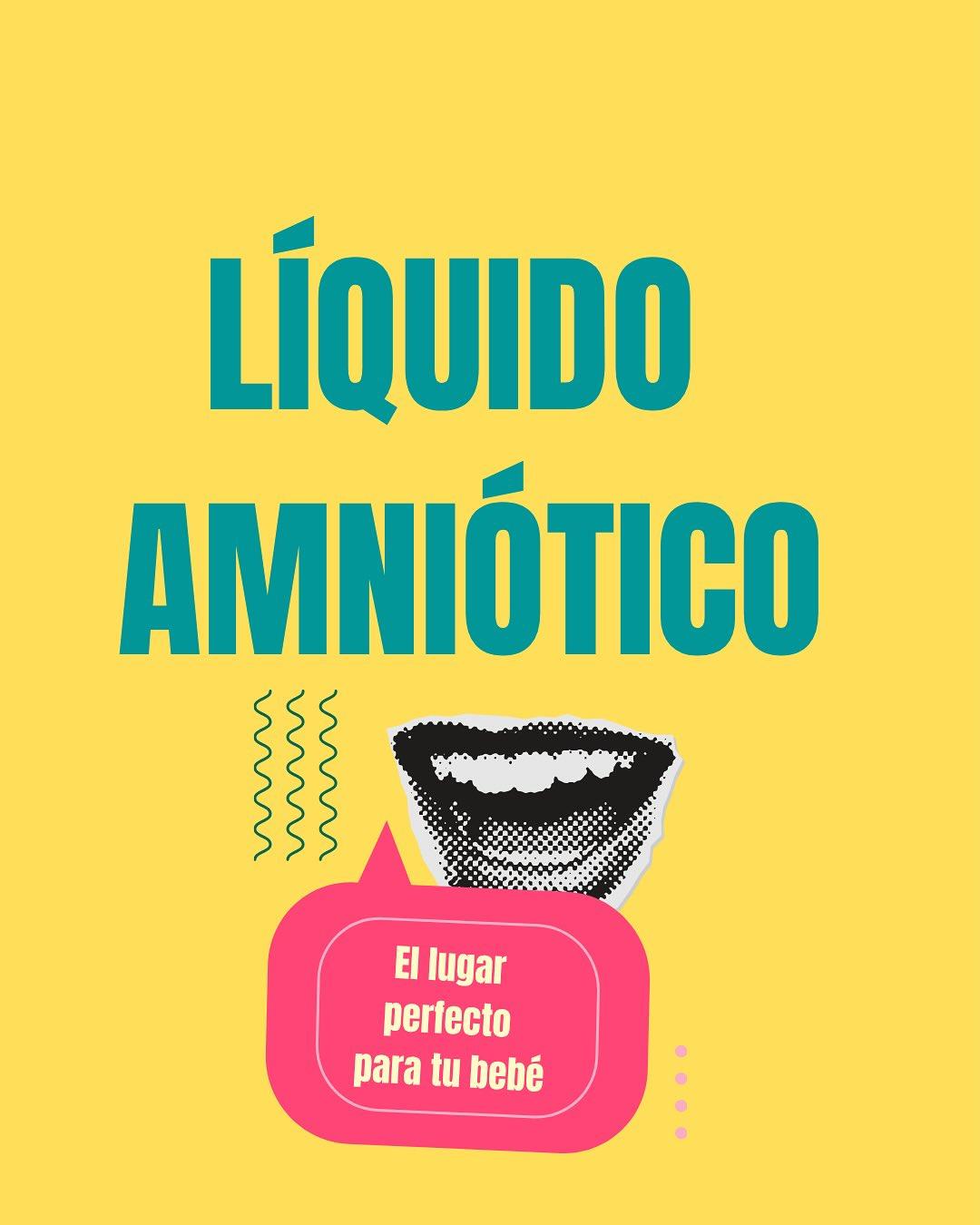 Carrusel ilustrado de Todo Bajo Contracción: Líquido amniótico: para qué sirve