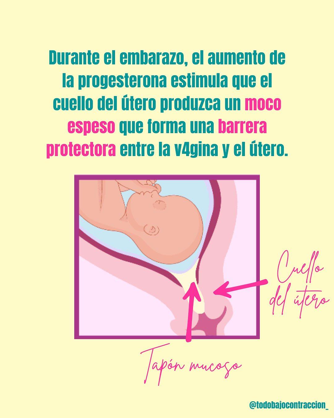 Carrusel ilustrado de Todo Bajo Contracción: Tapón mucoso: qué es y cuándo consultar