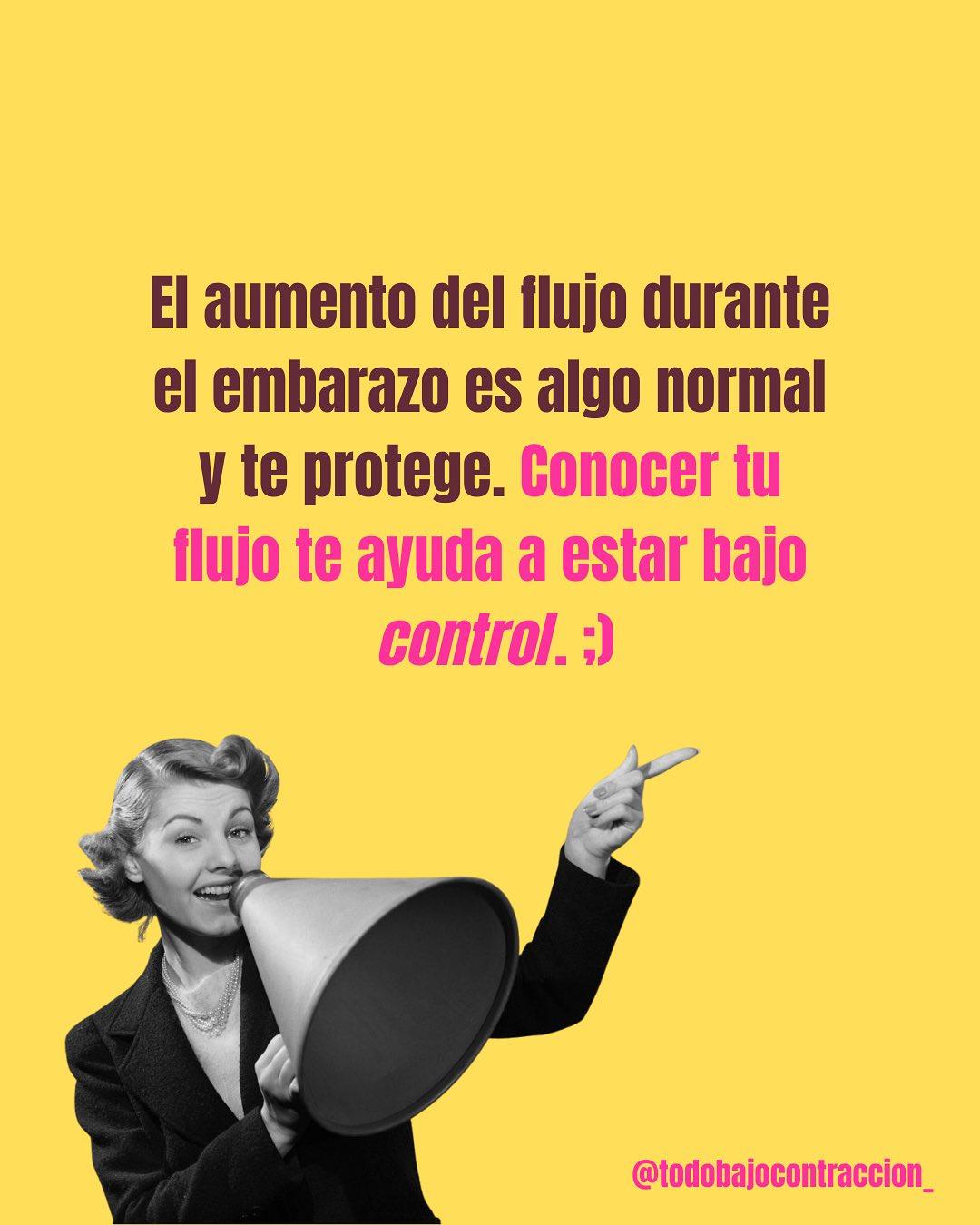 Carrusel ilustrado de Todo Bajo Contracción: Flujo en el embarazo: qué es normal
