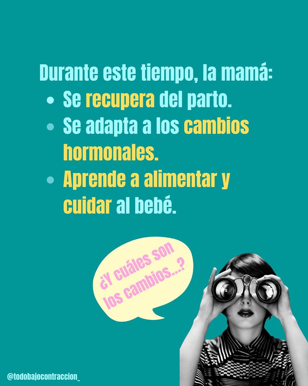 Carrusel ilustrado de Todo Bajo Contracción: El cuarto trimestre: las primeras semanas posparto