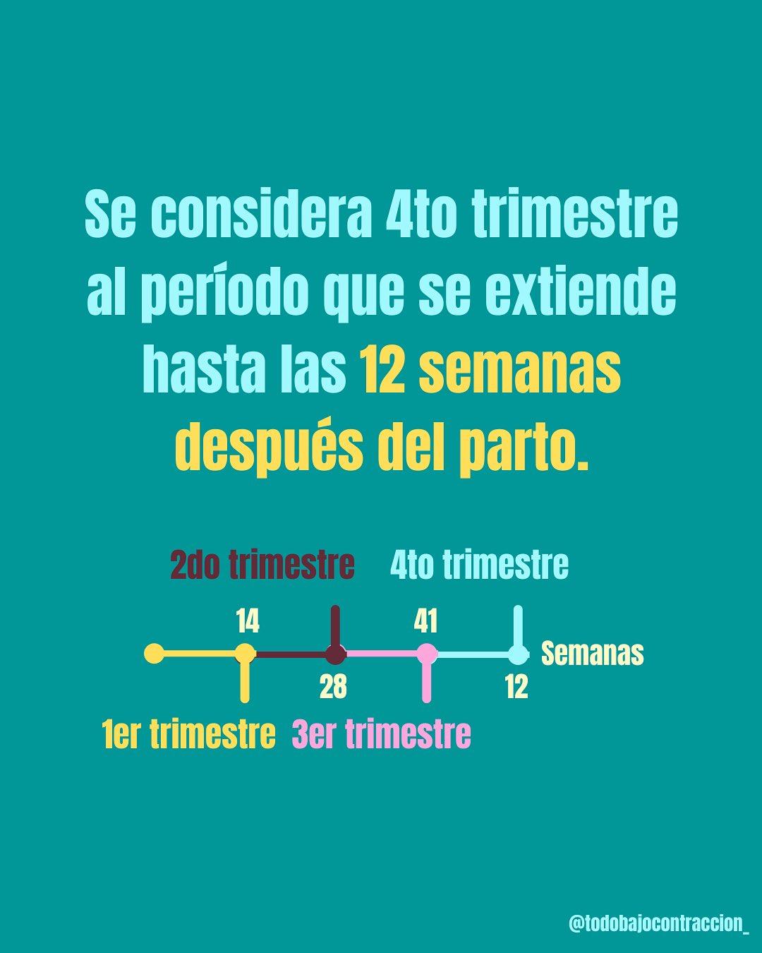Carrusel ilustrado de Todo Bajo Contracción: El cuarto trimestre: las primeras semanas posparto