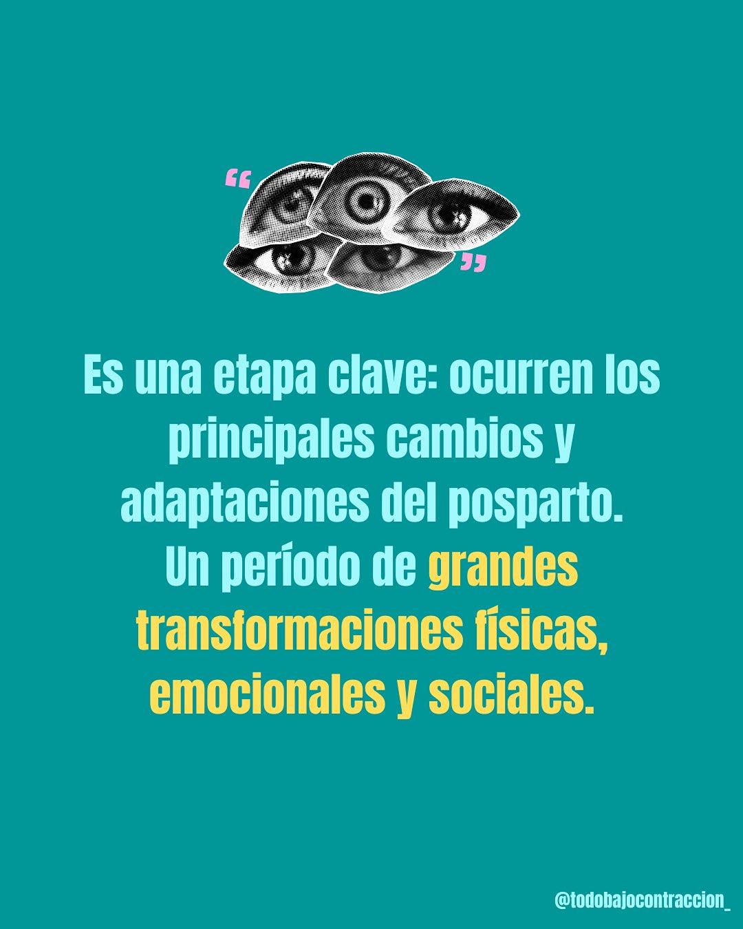 Carrusel ilustrado de Todo Bajo Contracción: El cuarto trimestre: las primeras semanas posparto