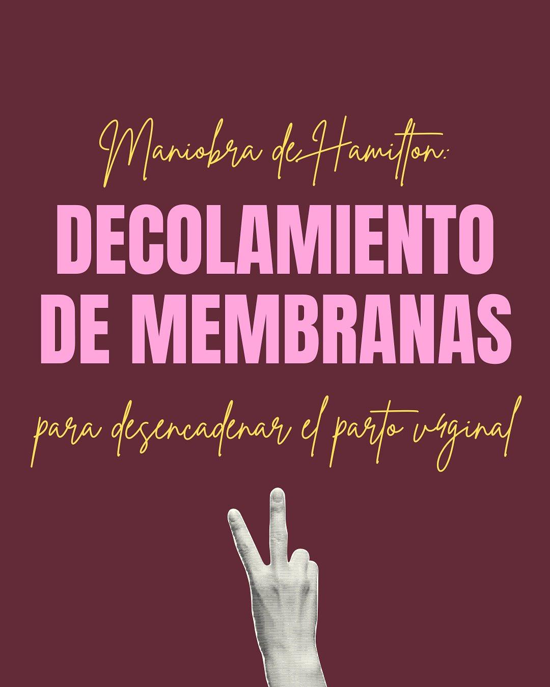 Carrusel ilustrado de Todo Bajo Contracción: Maniobra de Hamilton: qué es