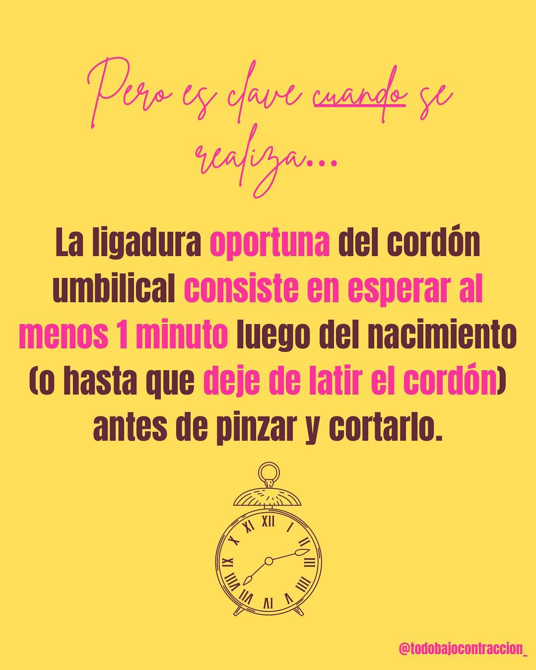 Carrusel ilustrado de Todo Bajo Contracción: Corte del cordón umbilical: ¿cuándo?