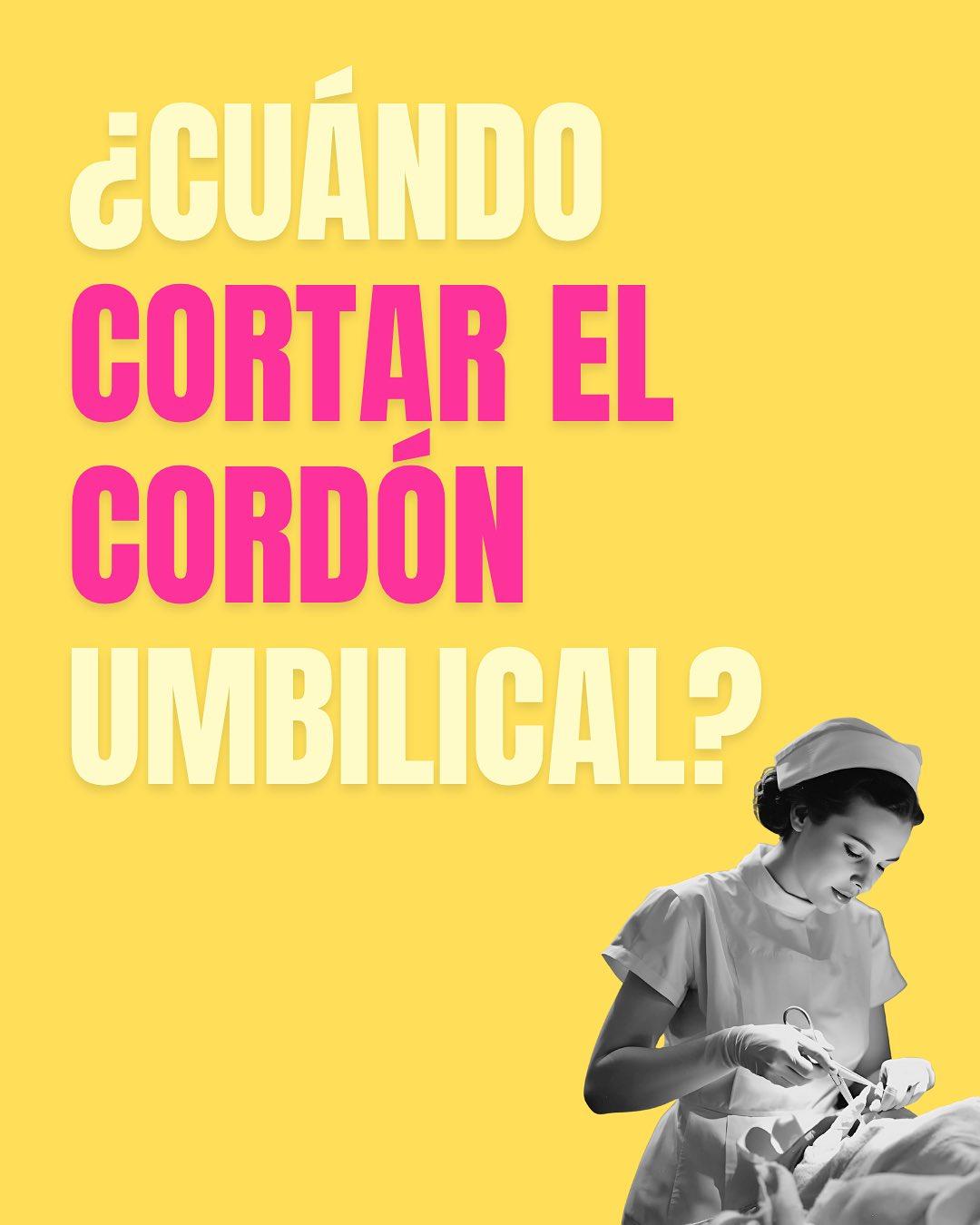 Carrusel ilustrado de Todo Bajo Contracción: Corte del cordón umbilical: ¿cuándo?