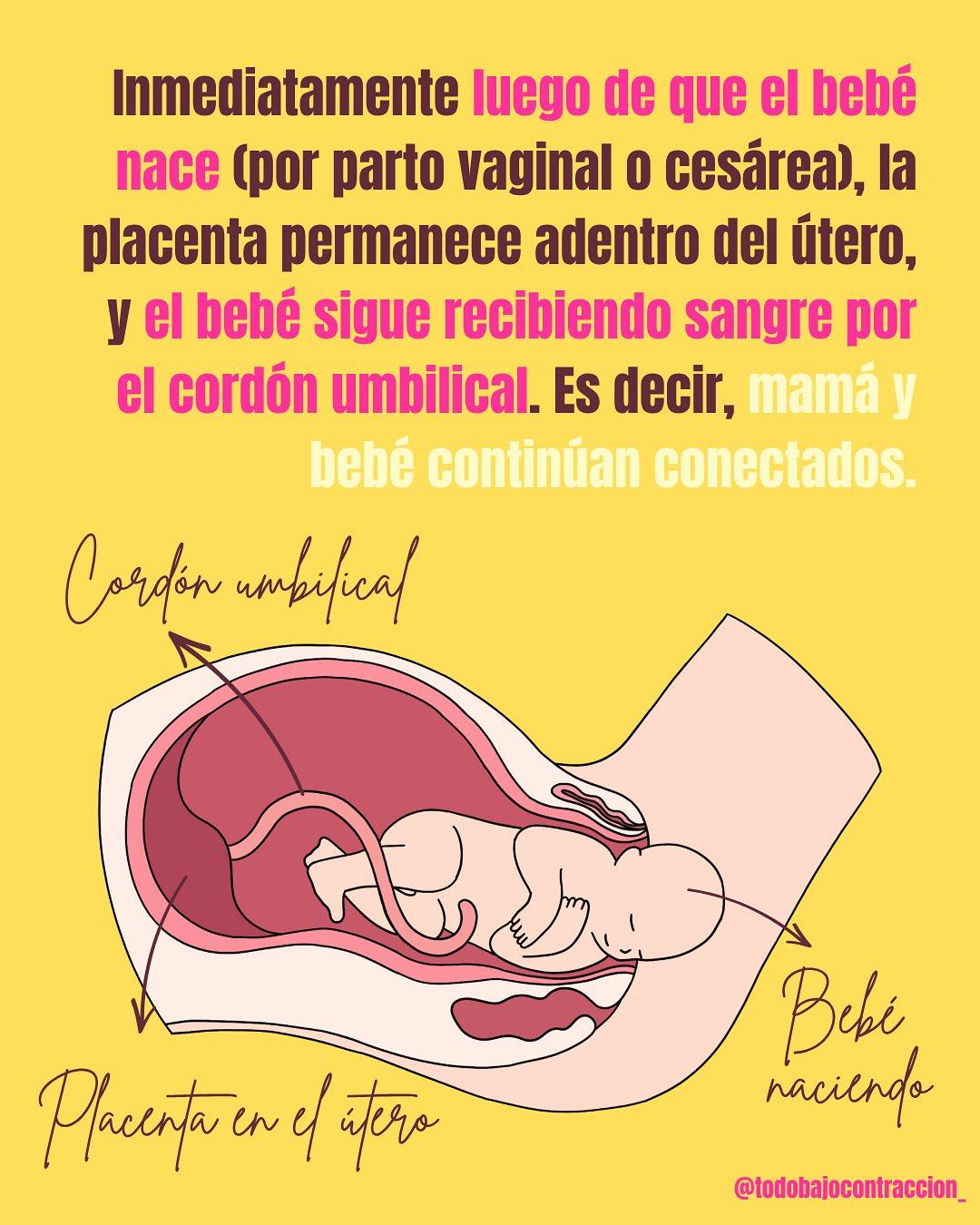 Carrusel ilustrado de Todo Bajo Contracción: Corte del cordón umbilical: ¿cuándo?