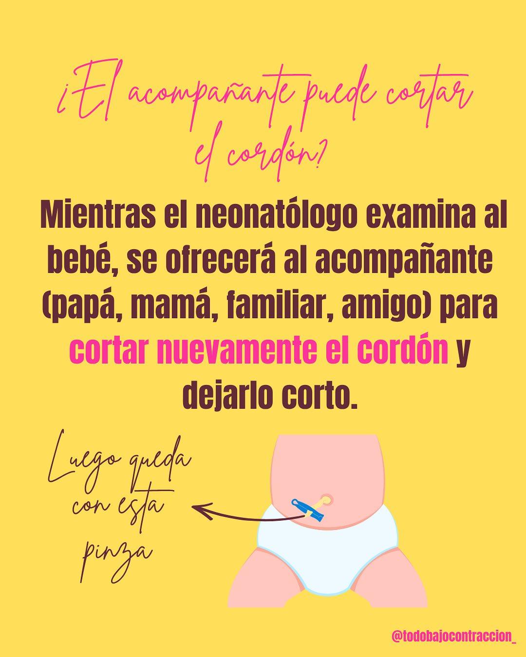 Carrusel ilustrado de Todo Bajo Contracción: Corte del cordón umbilical: ¿cuándo?