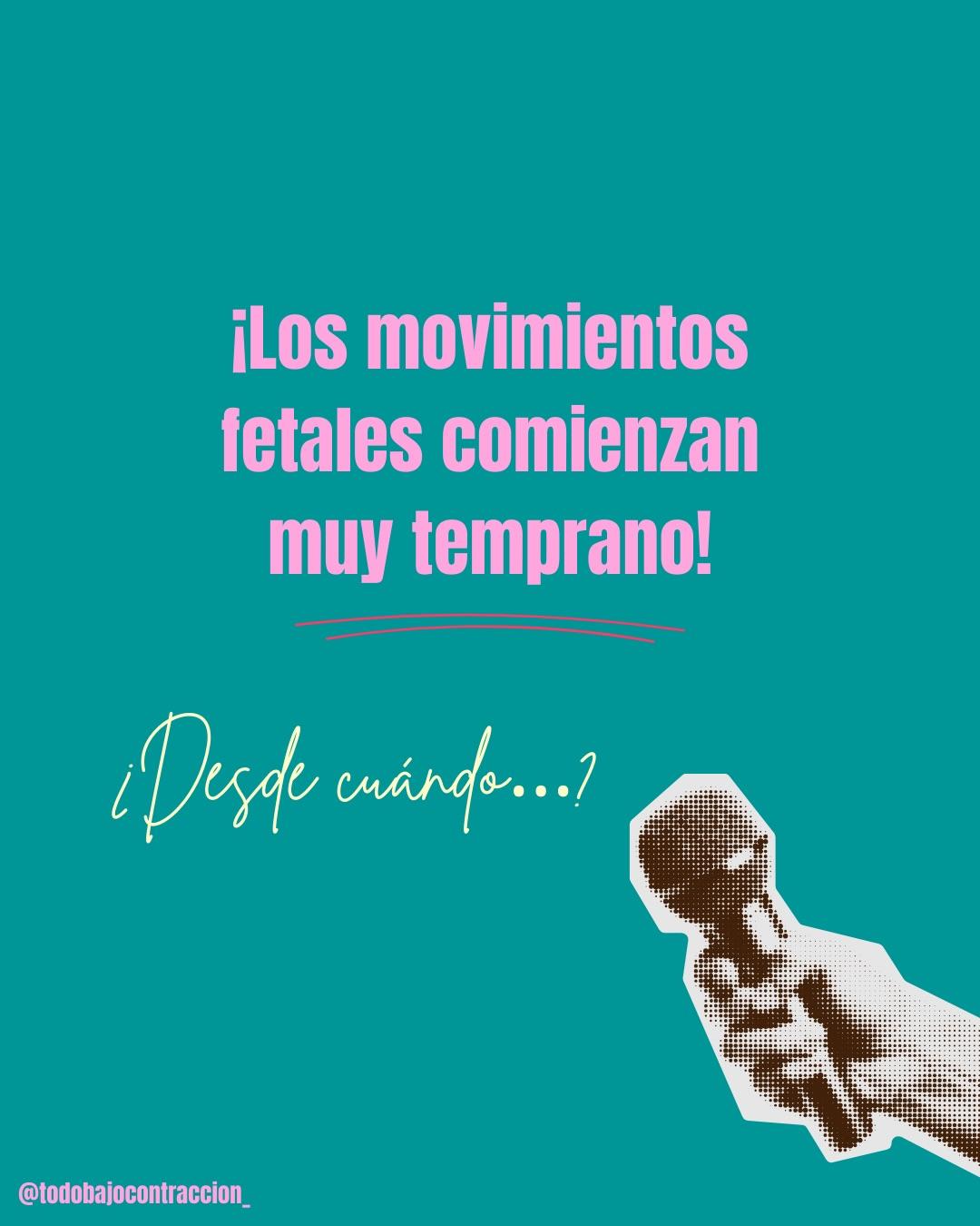 Carrusel ilustrado de Todo Bajo Contracción: Movimientos fetales: cuándo se sienten