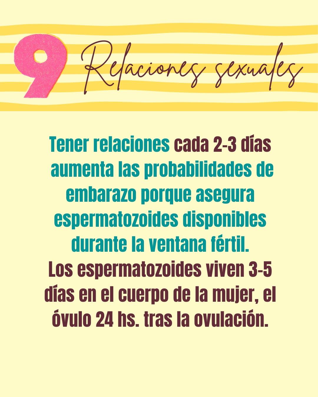 Carrusel ilustrado de Todo Bajo Contracción: Buscar embarazo: recomendaciones