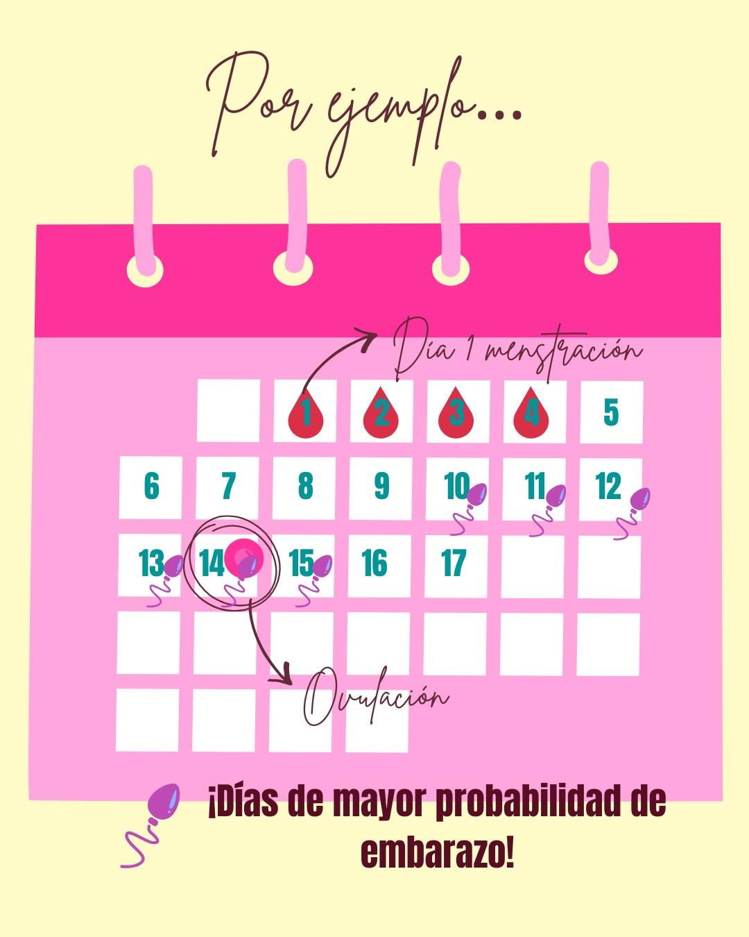 Carrusel ilustrado de Todo Bajo Contracción: Buscar embarazo: recomendaciones