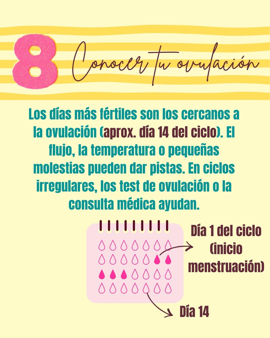 Carrusel ilustrado de Todo Bajo Contracción: Buscar embarazo: recomendaciones