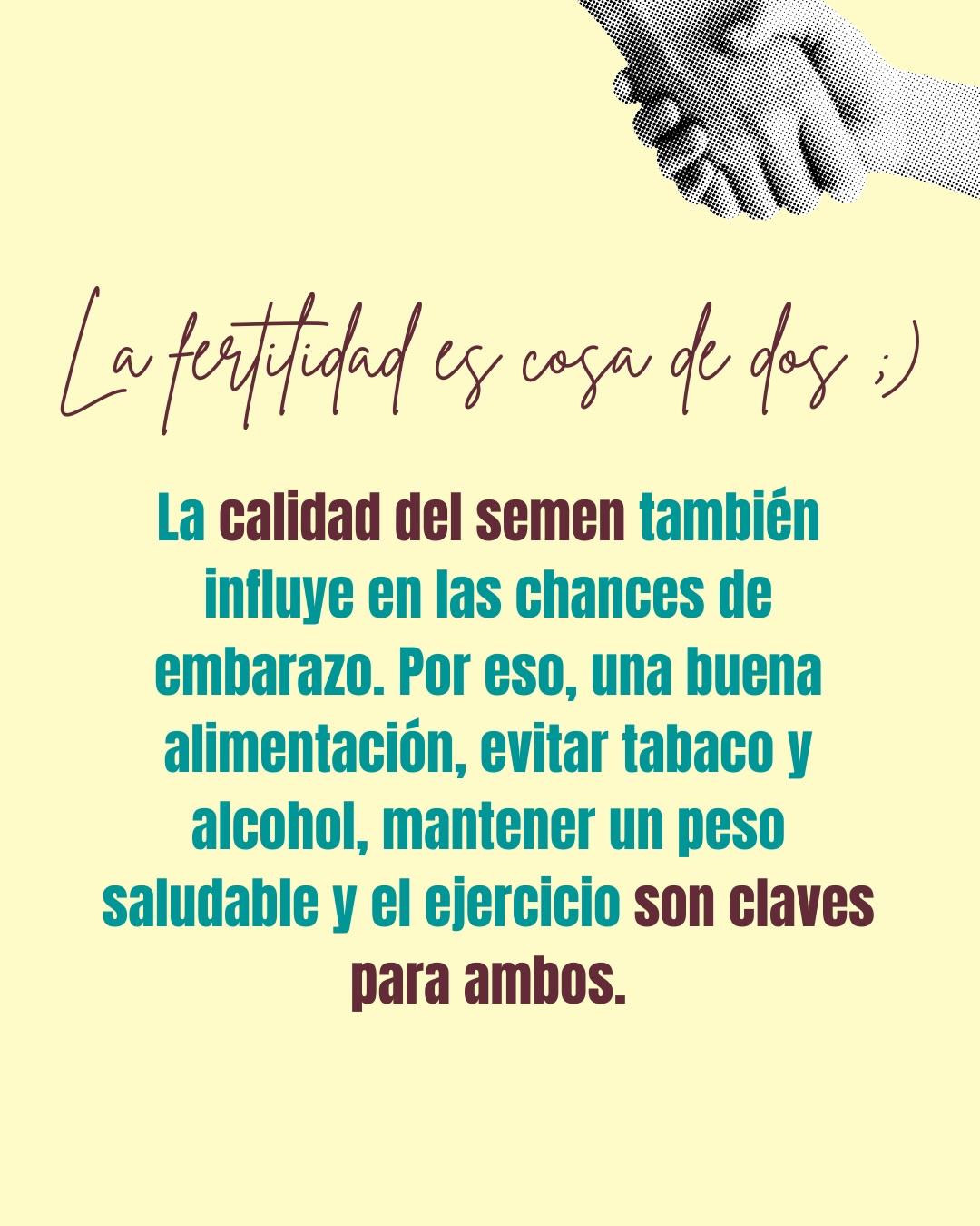 Carrusel ilustrado de Todo Bajo Contracción: Buscar embarazo: recomendaciones
