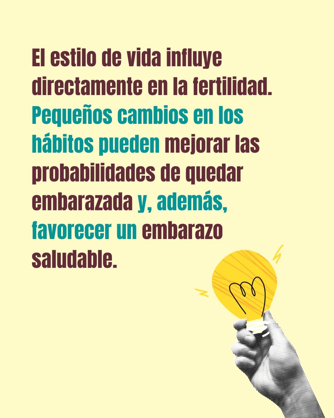 Carrusel ilustrado de Todo Bajo Contracción: Buscar embarazo: recomendaciones