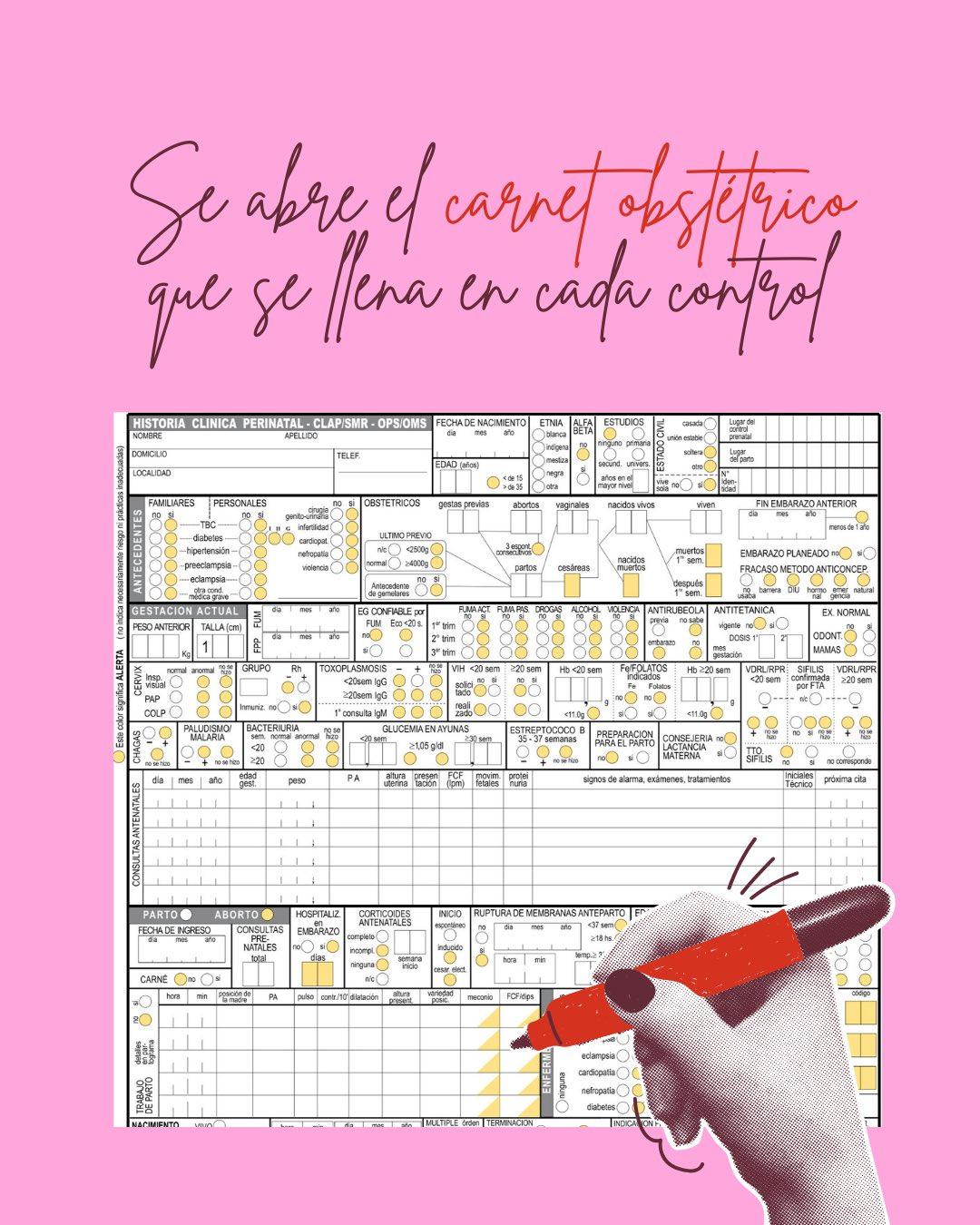 Carrusel ilustrado de Todo Bajo Contracción: El ABC de los controles del embarazo