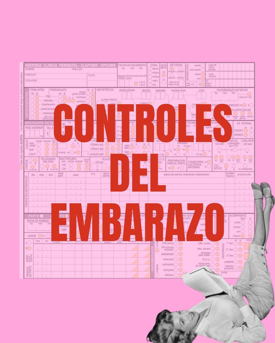 Carrusel ilustrado de Todo Bajo Contracción: El ABC de los controles del embarazo