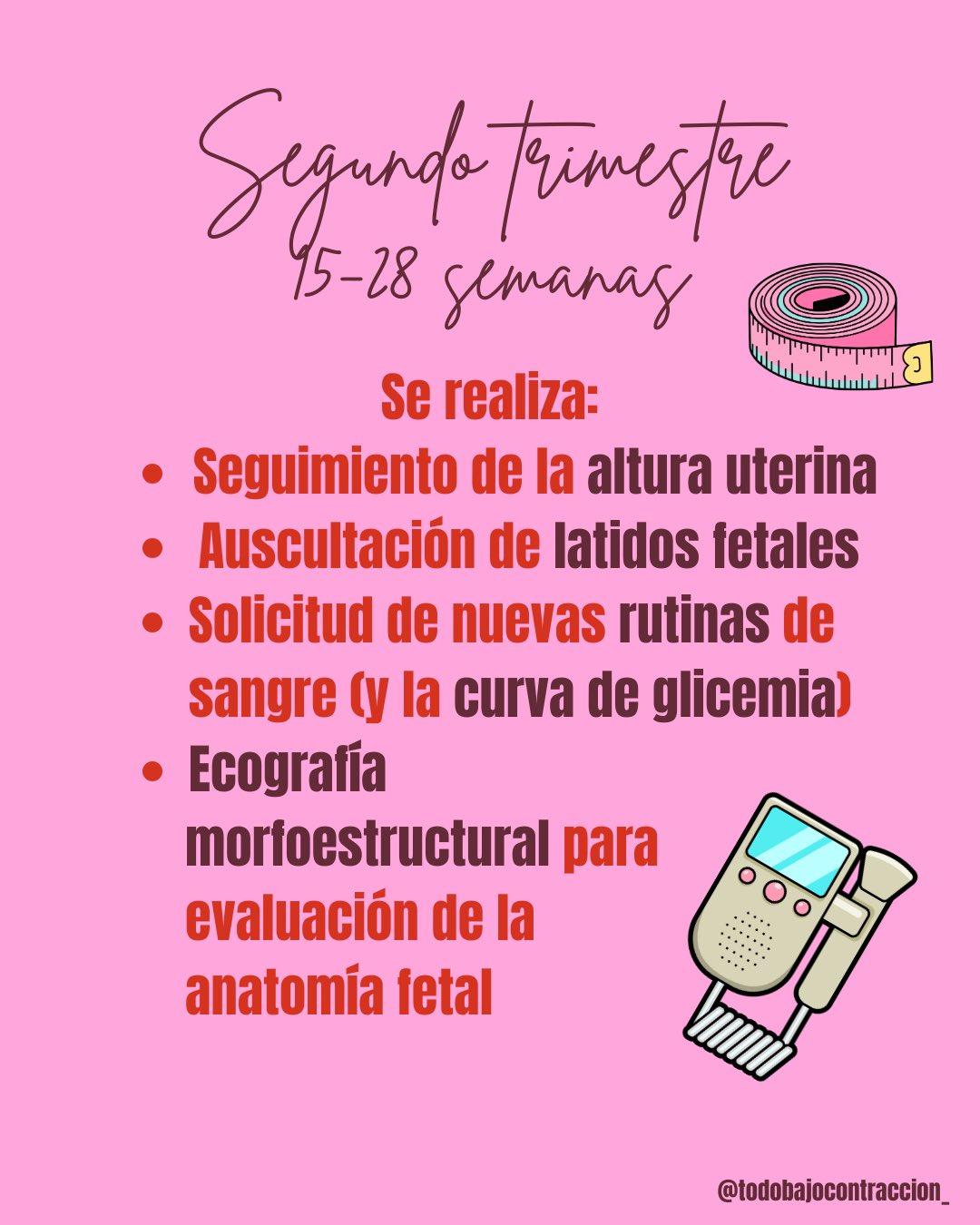 Carrusel ilustrado de Todo Bajo Contracción: El ABC de los controles del embarazo
