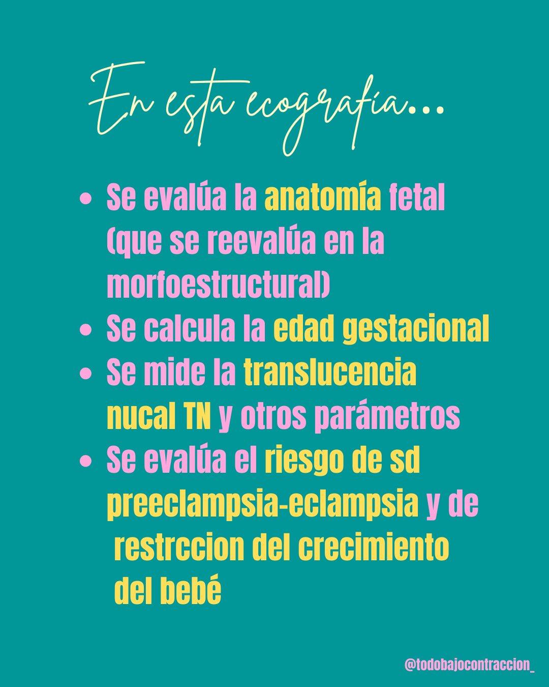 Carrusel ilustrado de Todo Bajo Contracción: Ecografía de translucencia nucal (11-14 semanas)