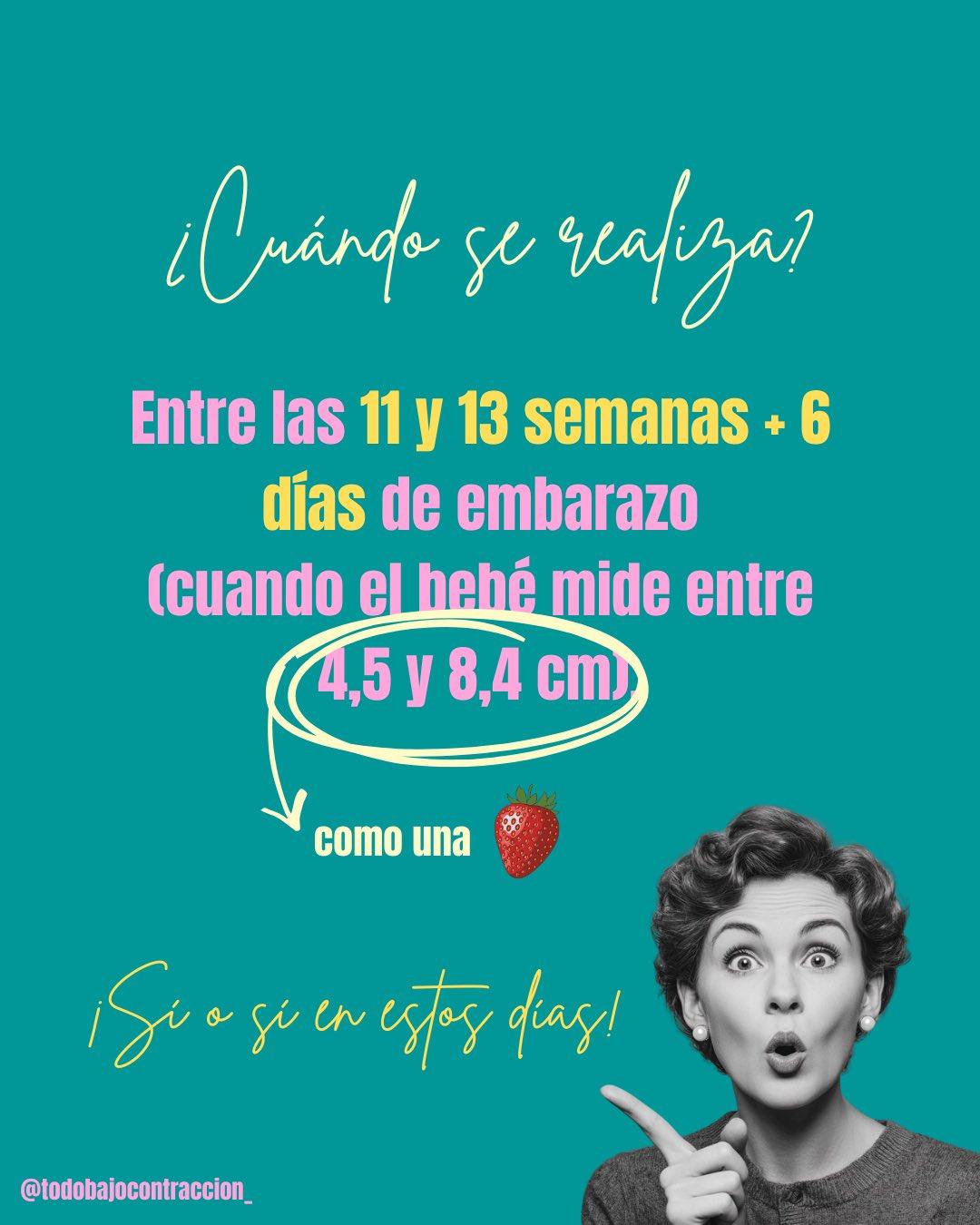 Carrusel ilustrado de Todo Bajo Contracción: Ecografía de translucencia nucal (11-14 semanas)
