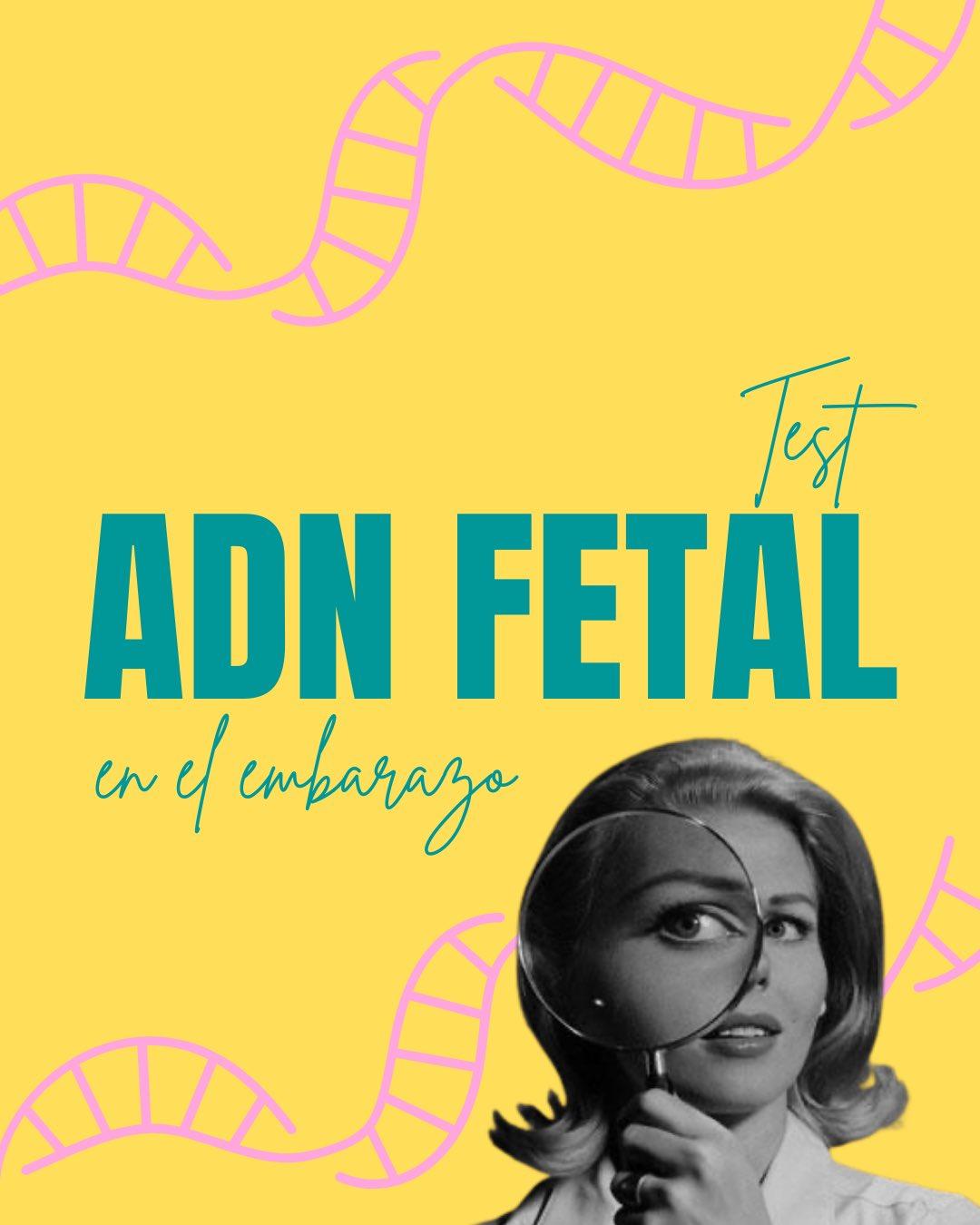 Carrusel ilustrado de Todo Bajo Contracción: ADN fetal en sangre materna