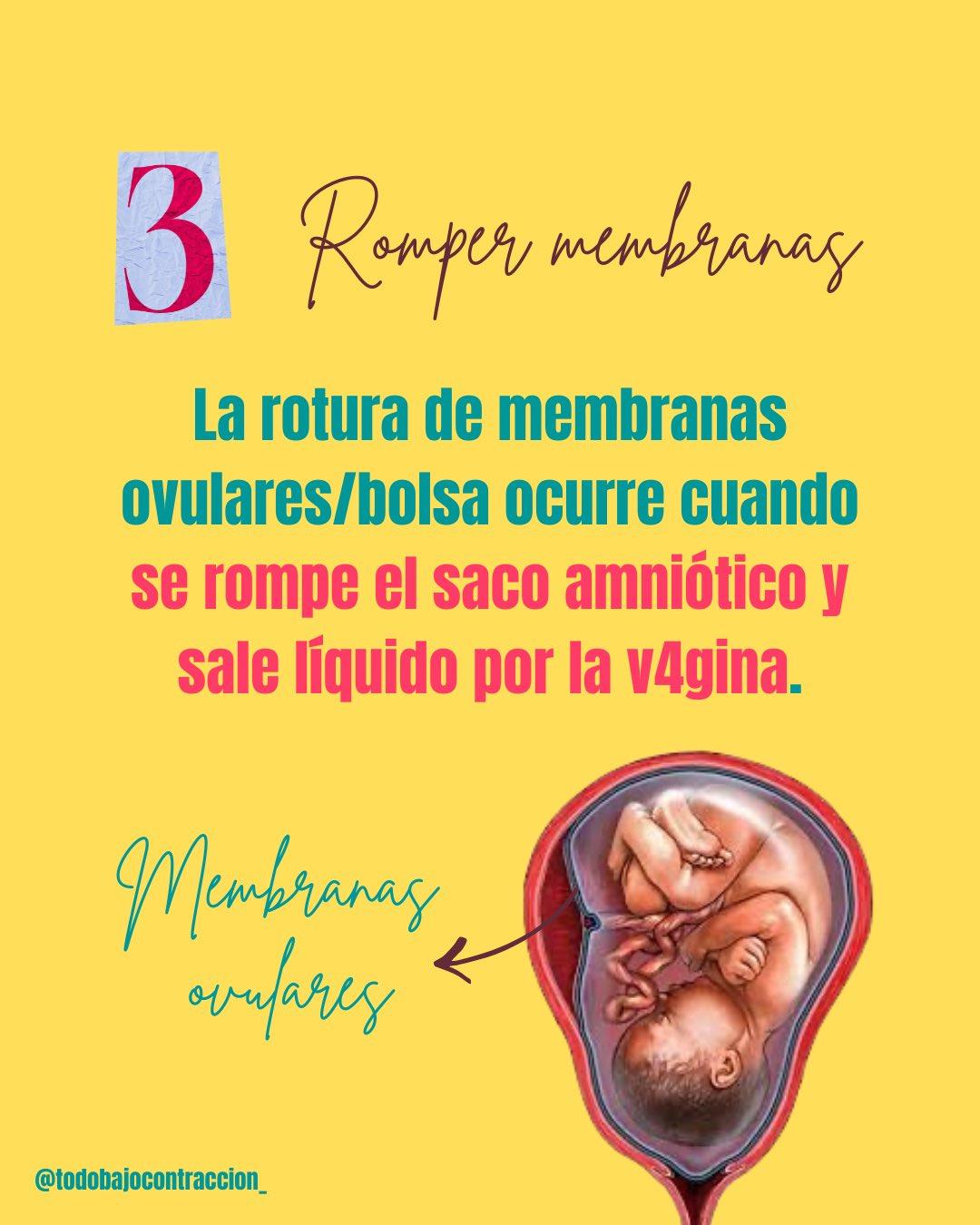 Carrusel ilustrado de Todo Bajo Contracción: Señales de que se acerca el parto