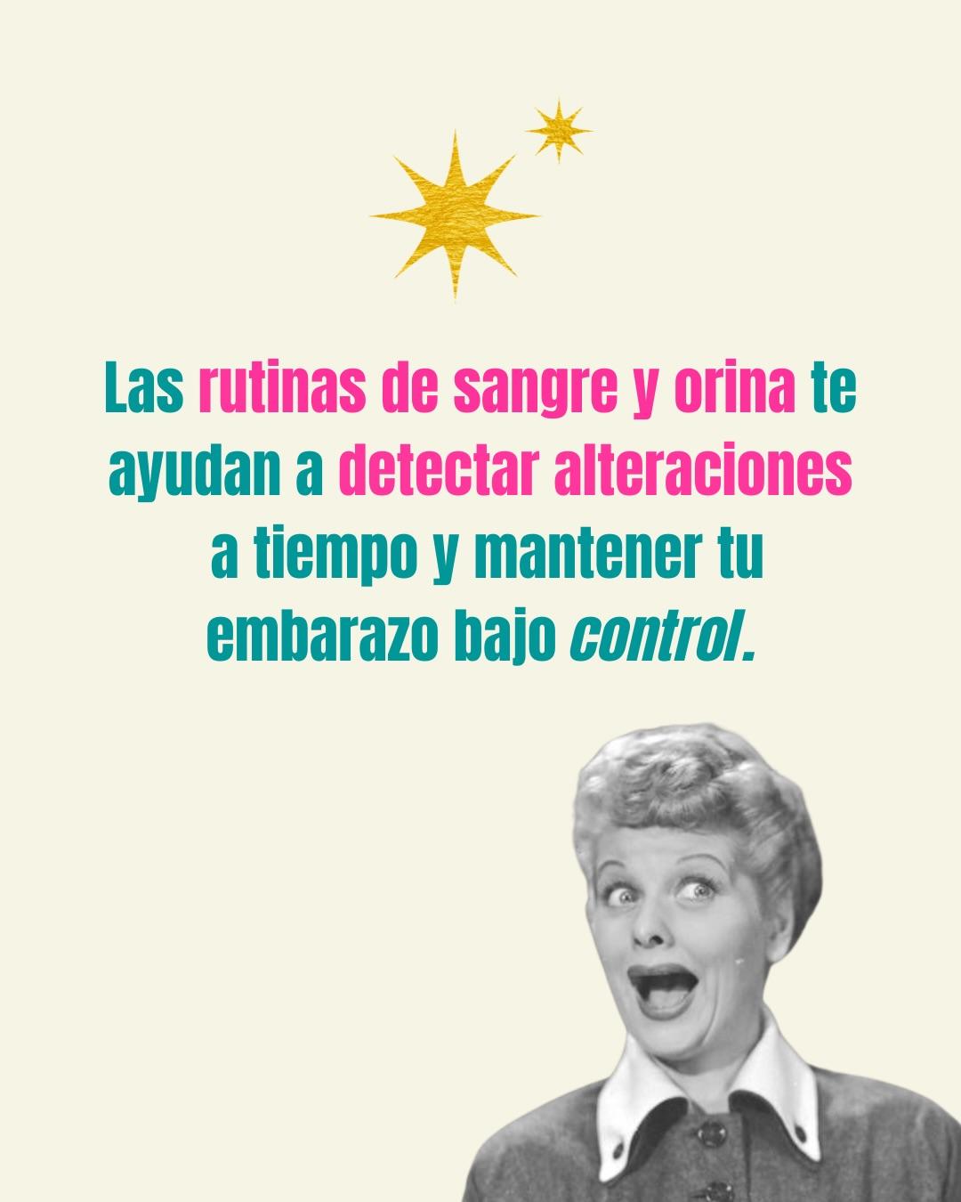Carrusel ilustrado de Todo Bajo Contracción: Estudios de rutina del embarazo