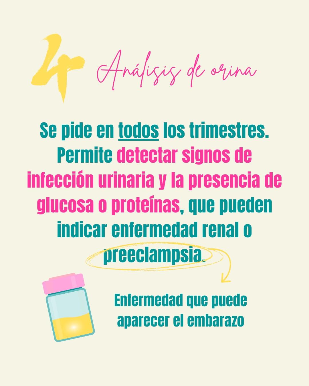 Carrusel ilustrado de Todo Bajo Contracción: Estudios de rutina del embarazo