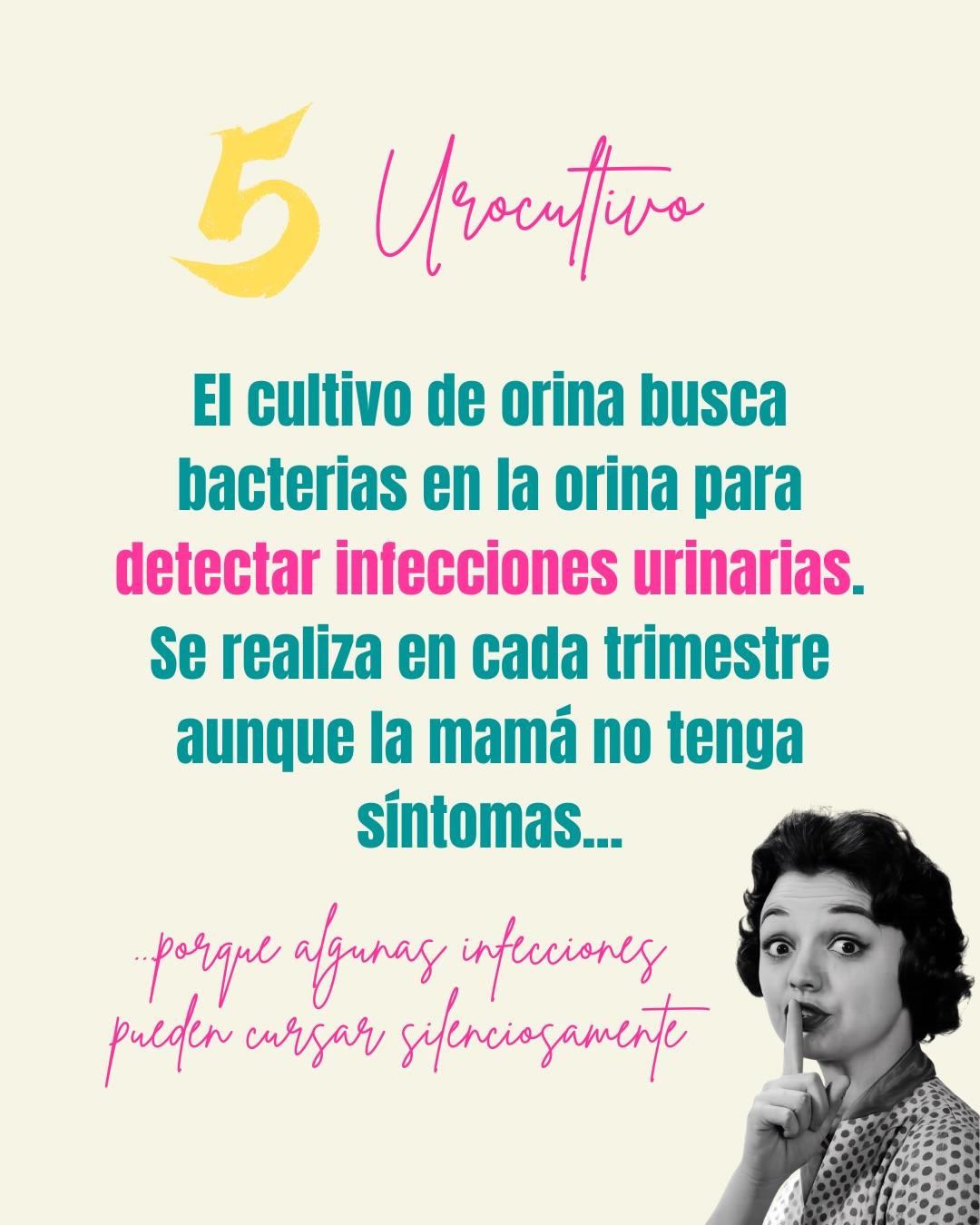 Carrusel ilustrado de Todo Bajo Contracción: Estudios de rutina del embarazo