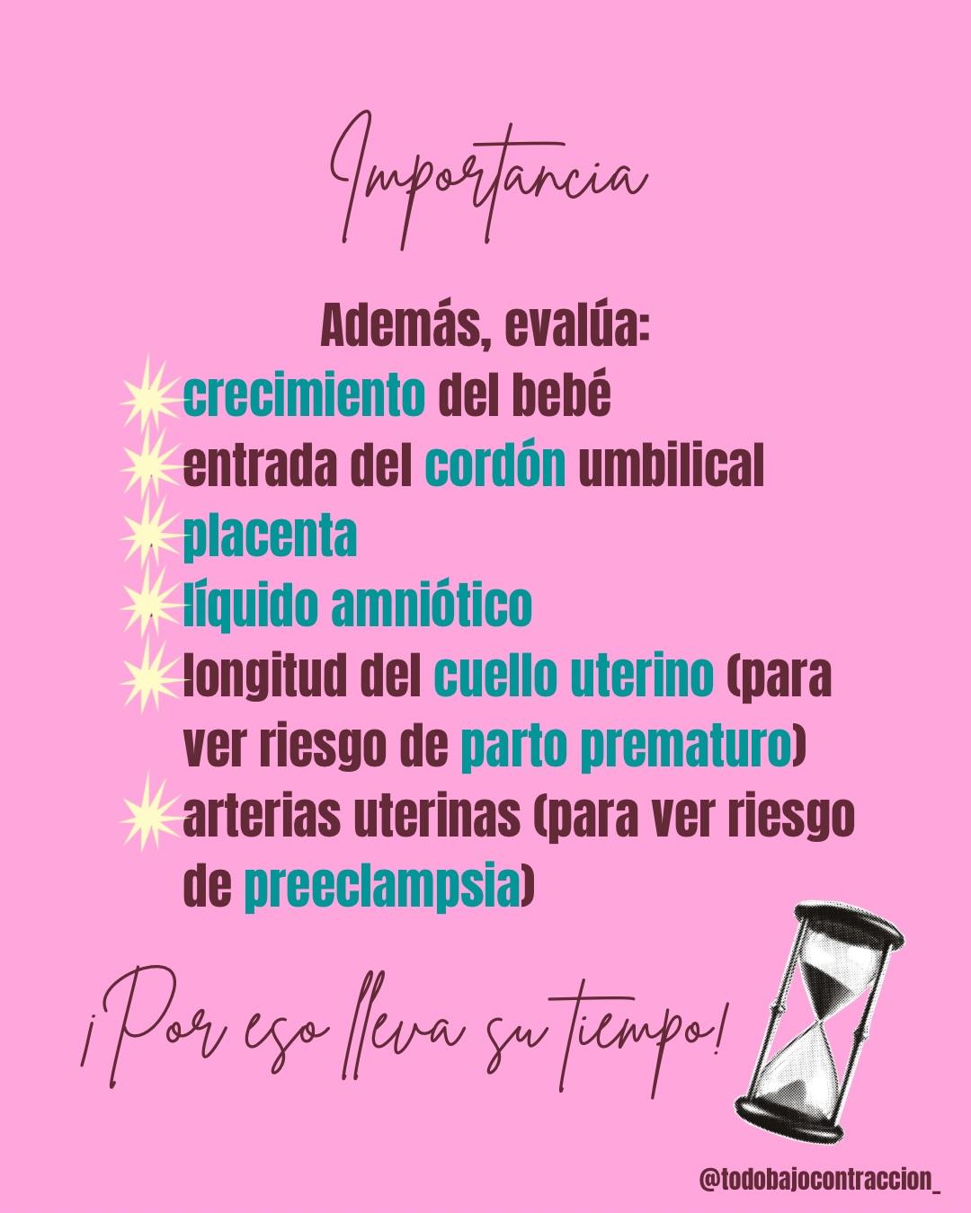 Carrusel ilustrado de Todo Bajo Contracción: Ecografía morfoestructural: qué evalúa