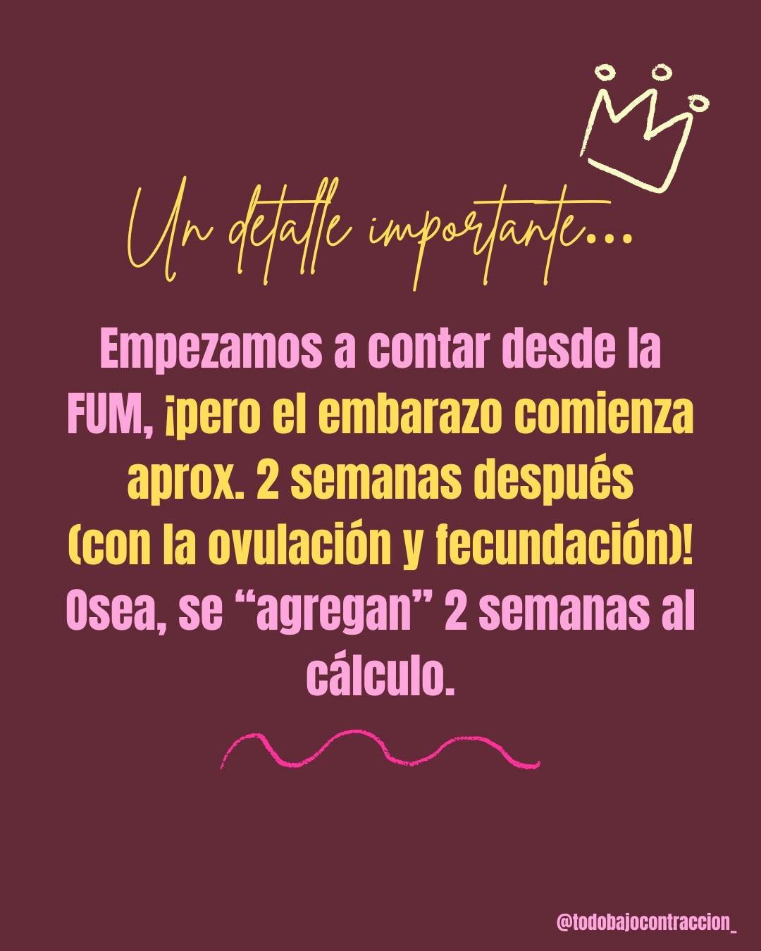 Carrusel ilustrado de Todo Bajo Contracción: Cómo se calcula la fecha probable de parto