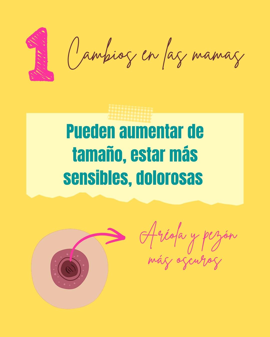 Carrusel ilustrado de Todo Bajo Contracción: Primeros síntomas del embarazo