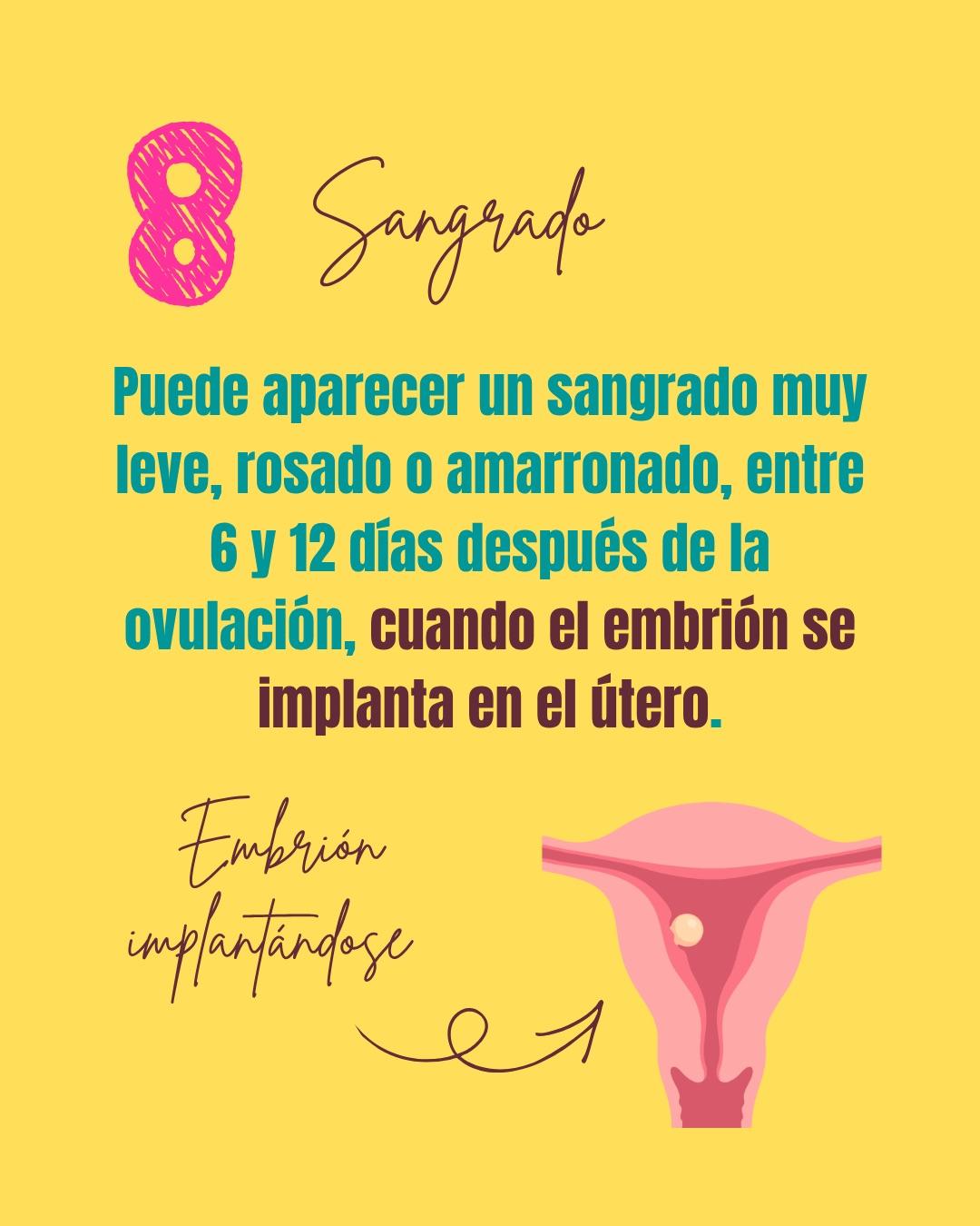 Carrusel ilustrado de Todo Bajo Contracción: Primeros síntomas del embarazo