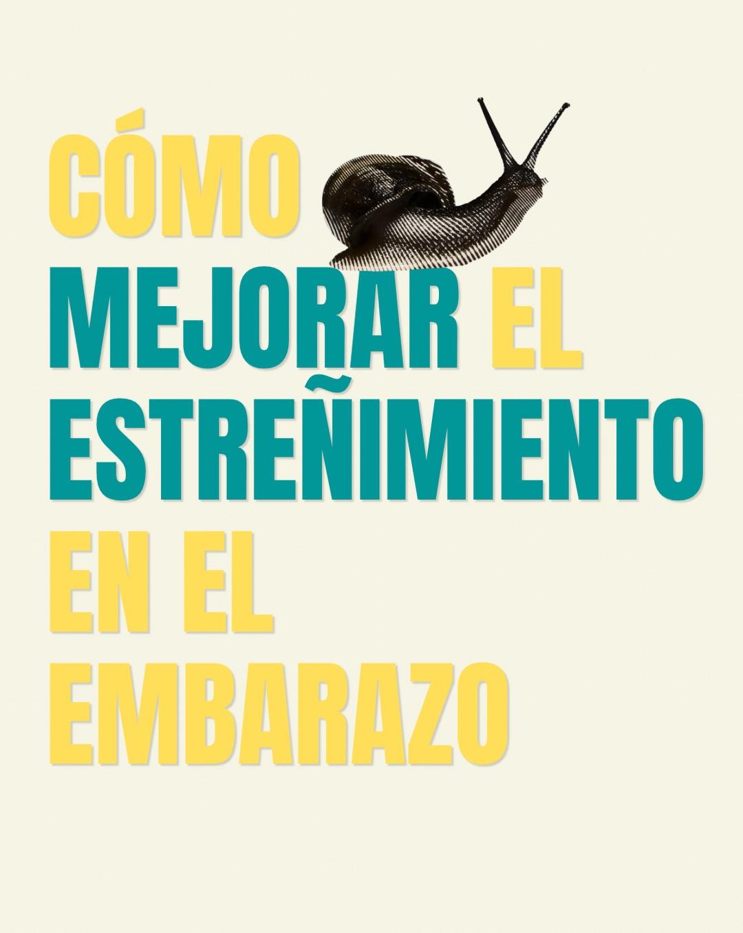 Carrusel ilustrado de Todo Bajo Contracción: Incomodidades en el embarazo